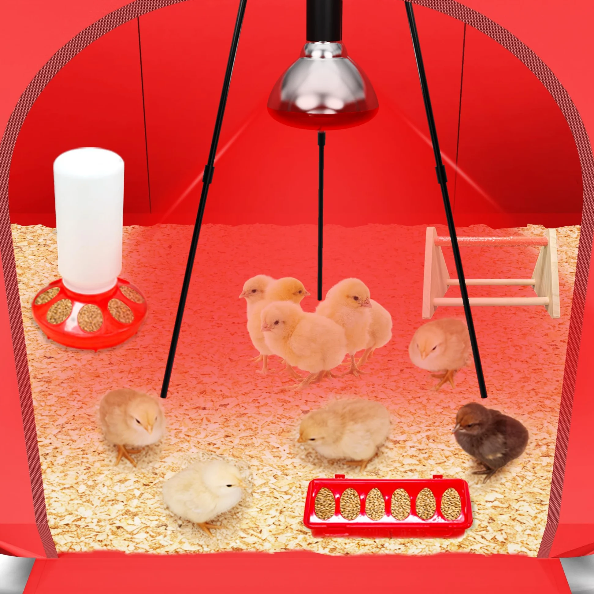 Caja de cría de pollitos para iniciación de pollos, incluye lámpara de calor de temporización, aserrín, comedero de pollitos y juego de bebedero, criador de aves de corral con lámpara de calor
