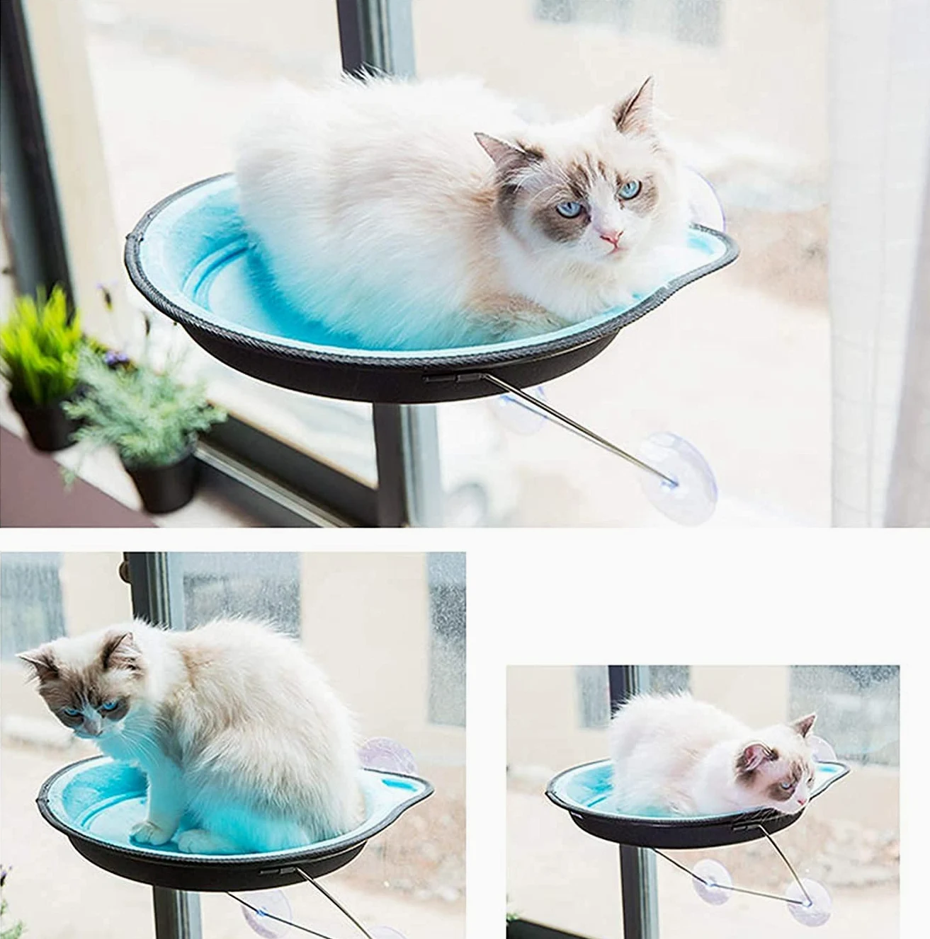 Hamaca para Gato Hamaca Ventana de Gato Cama montada en la Ventana para Gatos Asiento de Sol para Ventana Hamaca para Percha Cojín Cama Estante Colgante Asiento Hamaca para Tomar el Sol Taza de Succi