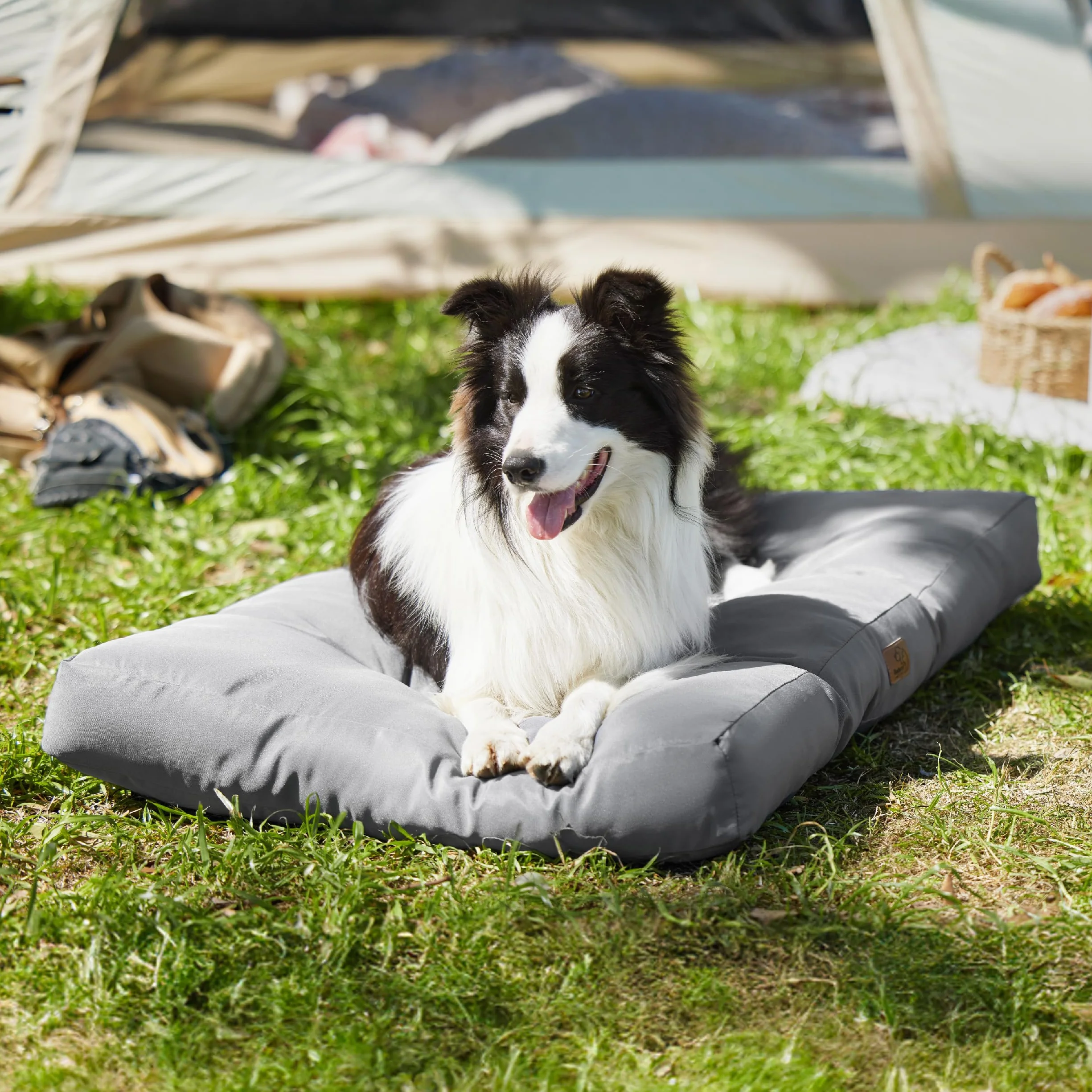 Bedsure Cama Perro Impermeable Grande - 91x68x10 cm Colchón Perro Lavable, Cojín Perro Antipelo y Suave, Gris Oscuro, L
