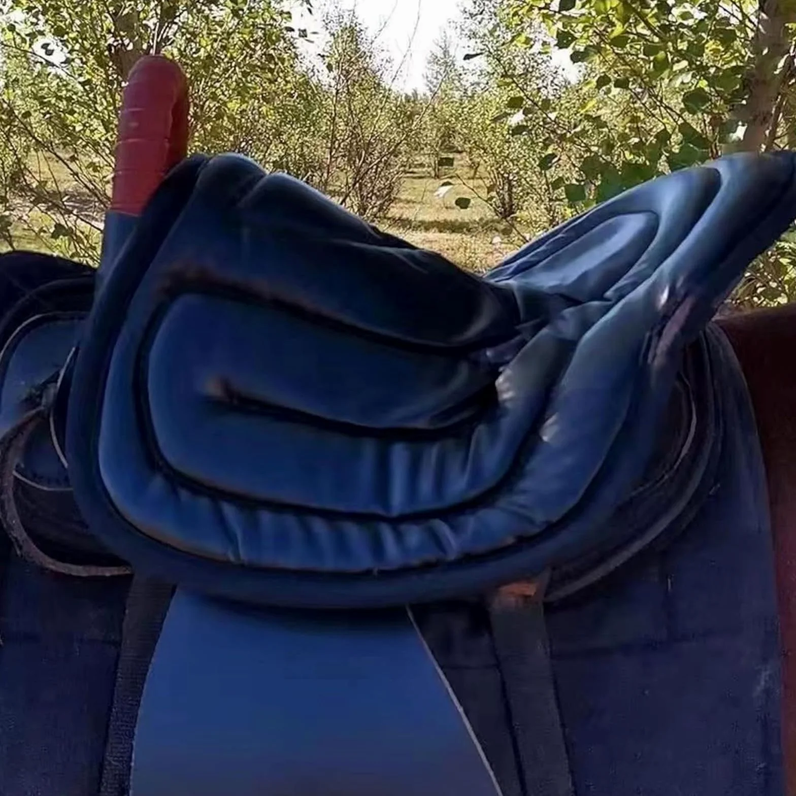 Almohadillas De Silla para Caballos, Almohadilla De Absorción De Choque - Resistencia Antidesligiosa Y De Desgaste - Esponja Suave Y Fácil De Limpiar - Equipos Y Accesorios Ecuestres,B