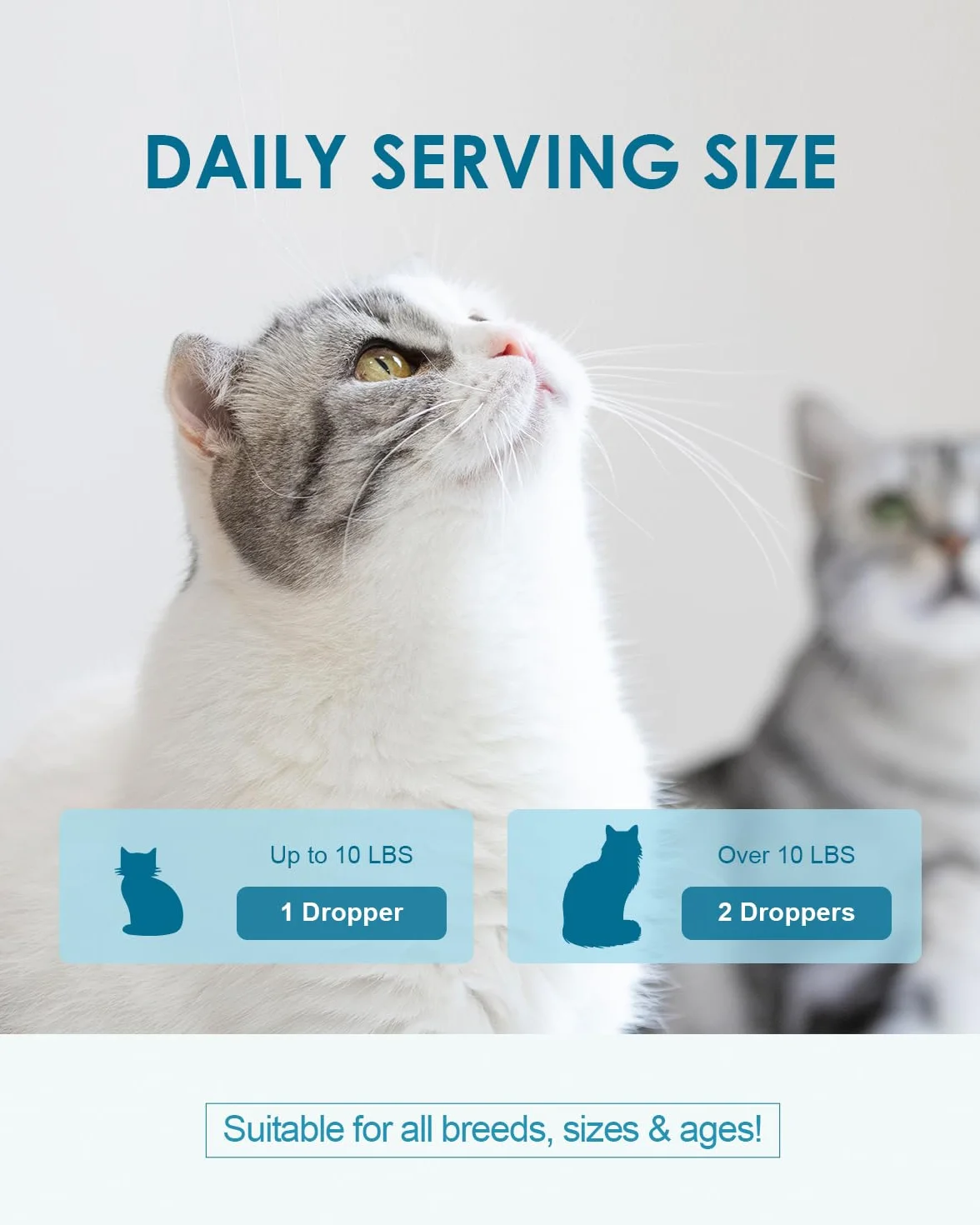 Alivio Bolas Pelo Gato - Remedio para Bolas Pelo Gatos, Salud Digestiva, Piel y Pelaje, Control Bolas Pelo Gatos con Probióticos, Fibra, Lisina, Vitaminas, Tratamiento para Bolas Pelo Gato - 60 ml