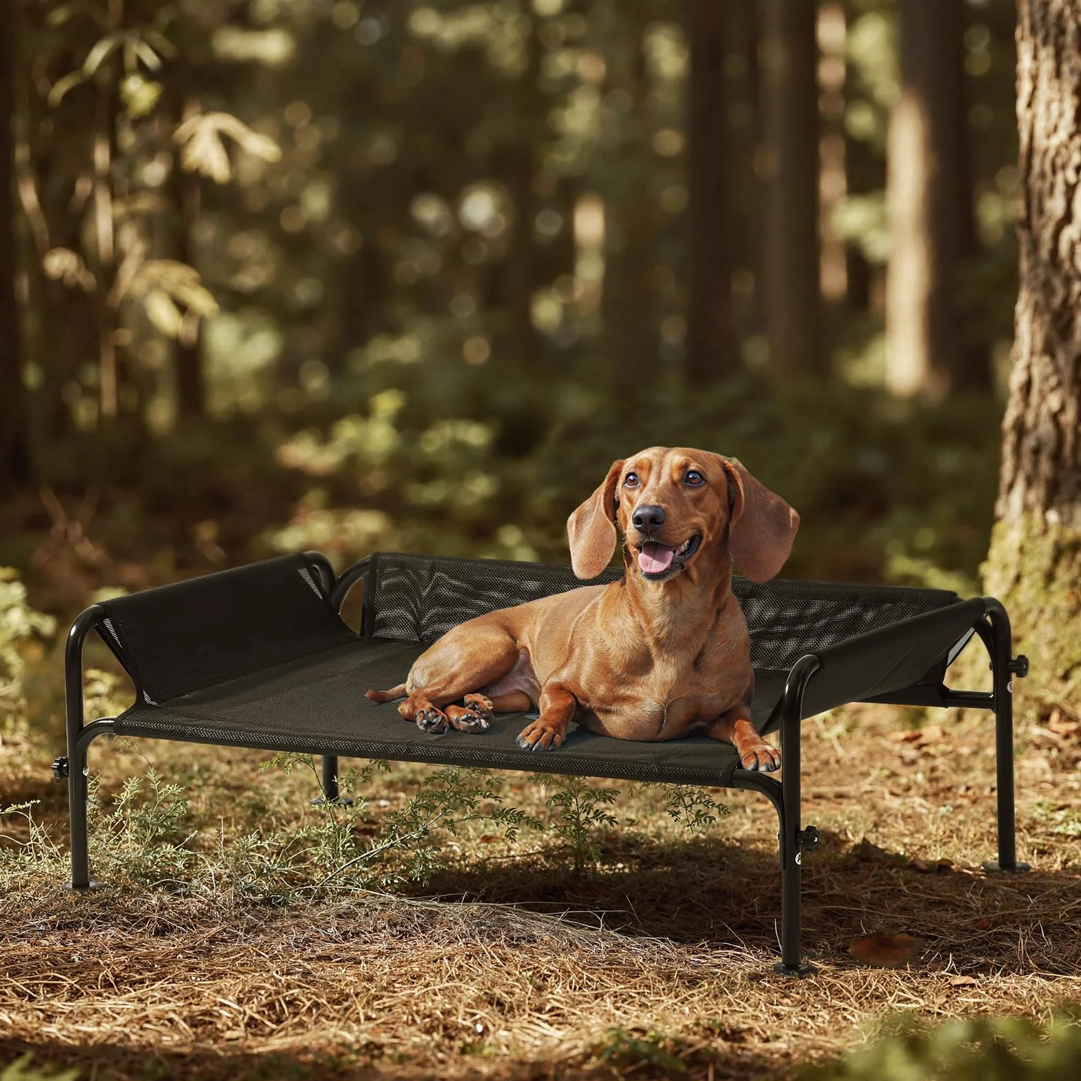 Gardner Pet Cama Elevada para Perros Medianos y Grandes, Cama Transpirable para Interior y Exterior con Malla Lavable, Estructura Metálica Robusta, Tamaño S, Negro