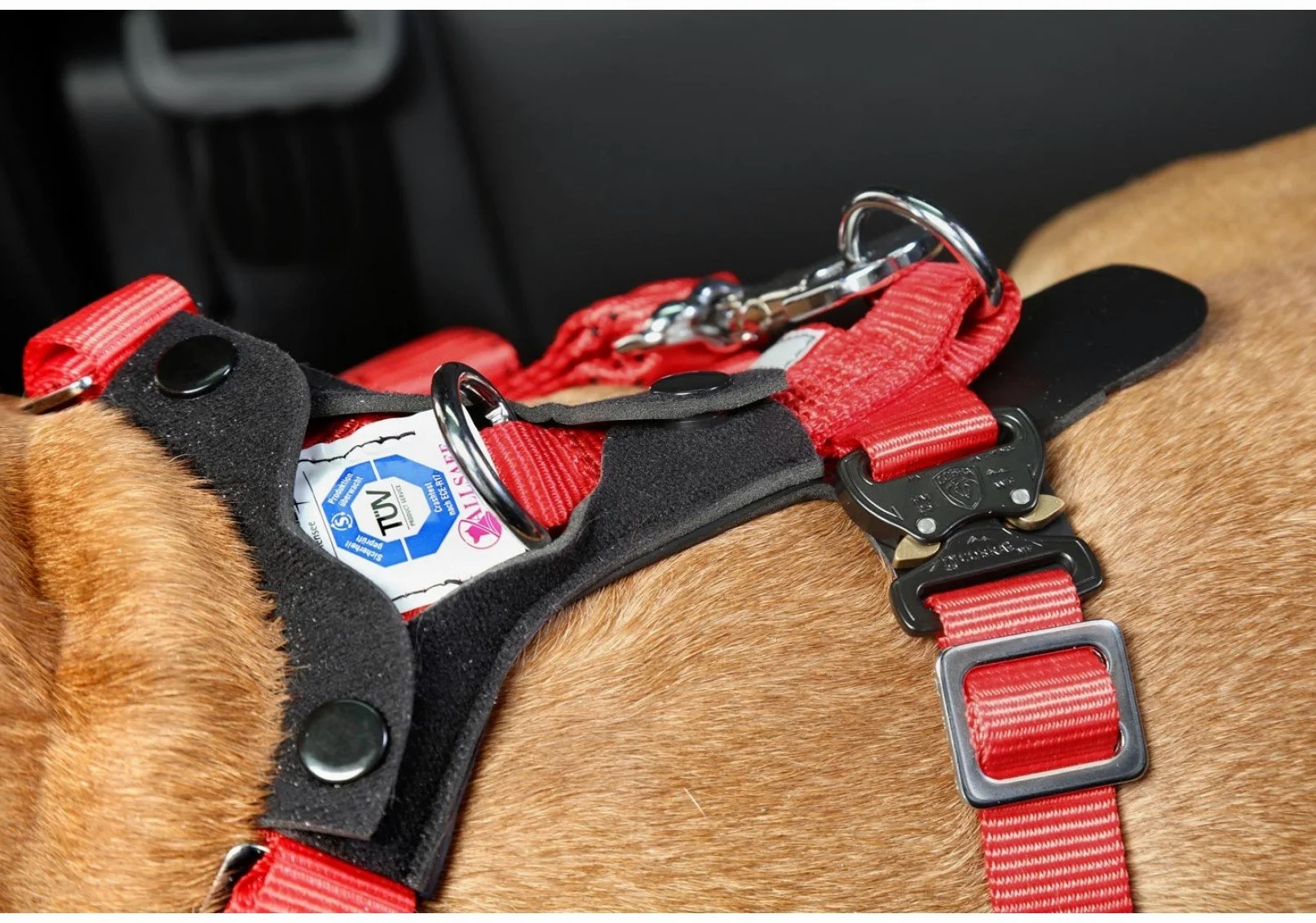Kleinmetall Allsafe Comfort - Cinturón de Seguridad para Perros (Talla L)