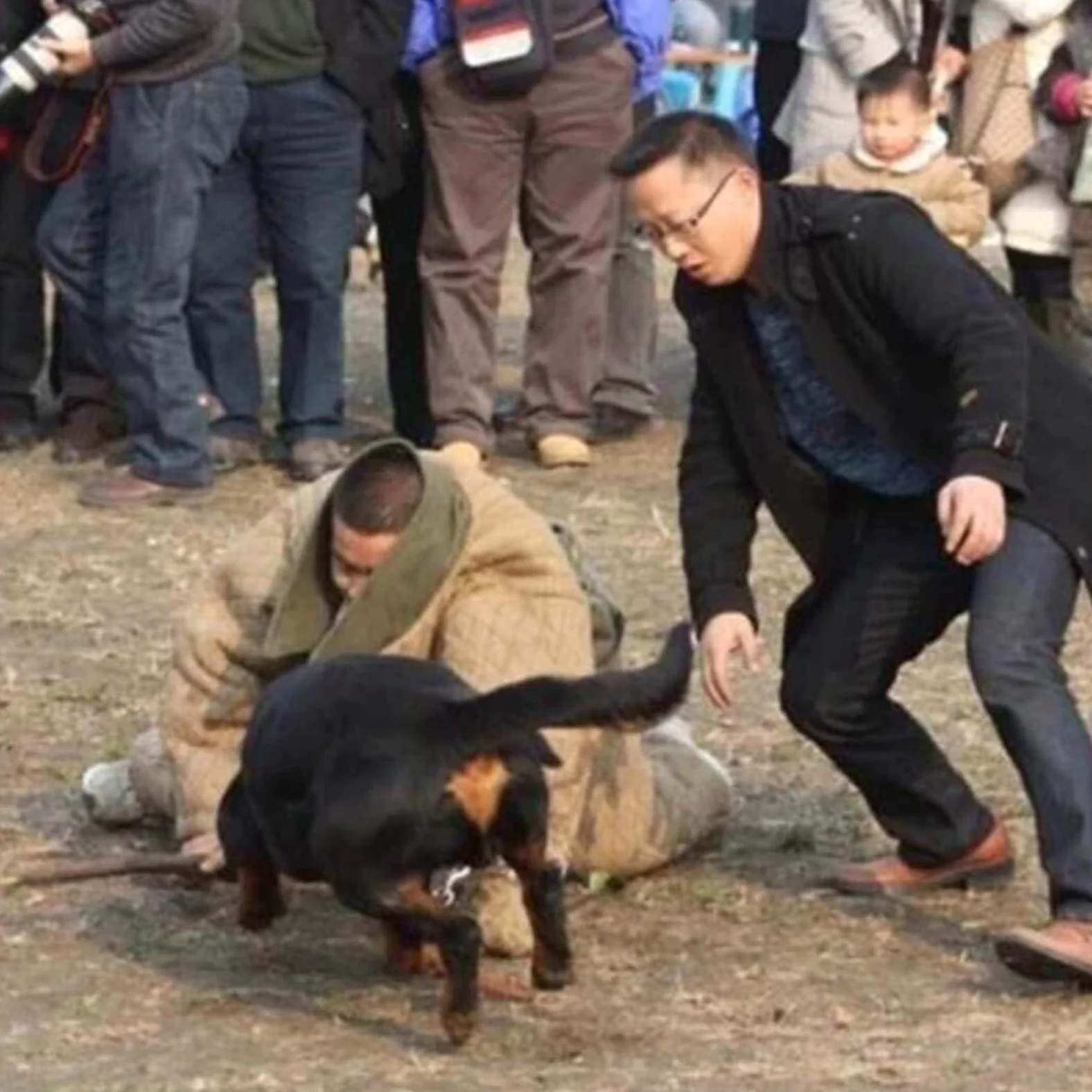 Mono antimordeduras, traje de adiestramiento canino, ropa protectora para adiestramiento canino - Traje de adiestramiento canino policía para perros medianos y grandes.,L