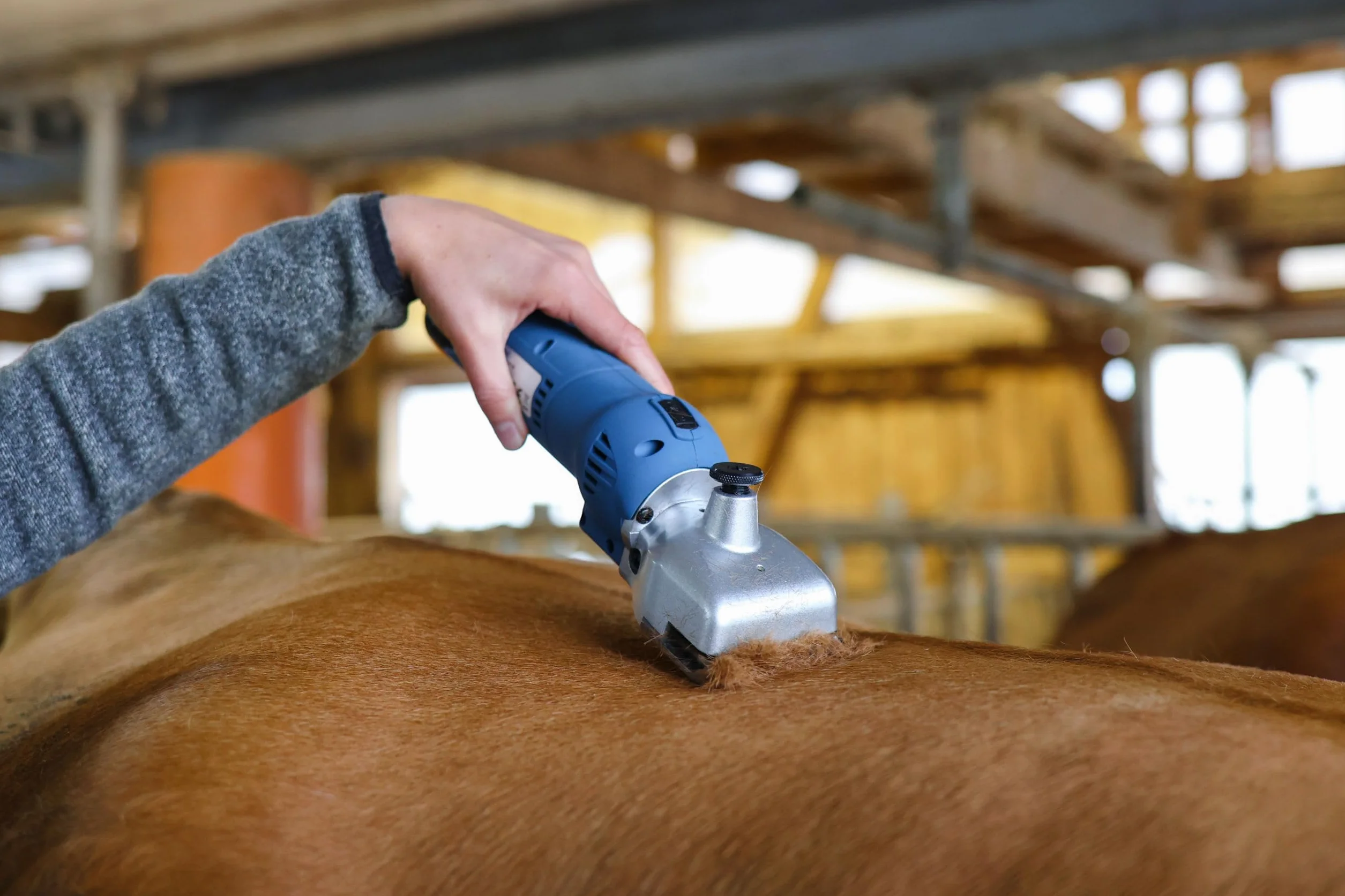 Clipster Esquiladora inalámbrica FarmClipper Akku2, para animales, incluye 2 baterías, azul, 28,5 x 8 x 8 cm, para esquilar ganado, veterinarios, 120 minutos de duración de la batería