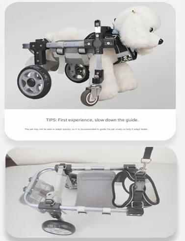 Silla de ruedas para perro, soporte ajustable de cuatro ruedas para una mayor movilidad, lo que permite el movimiento libre para mascotas con movilidad limitada