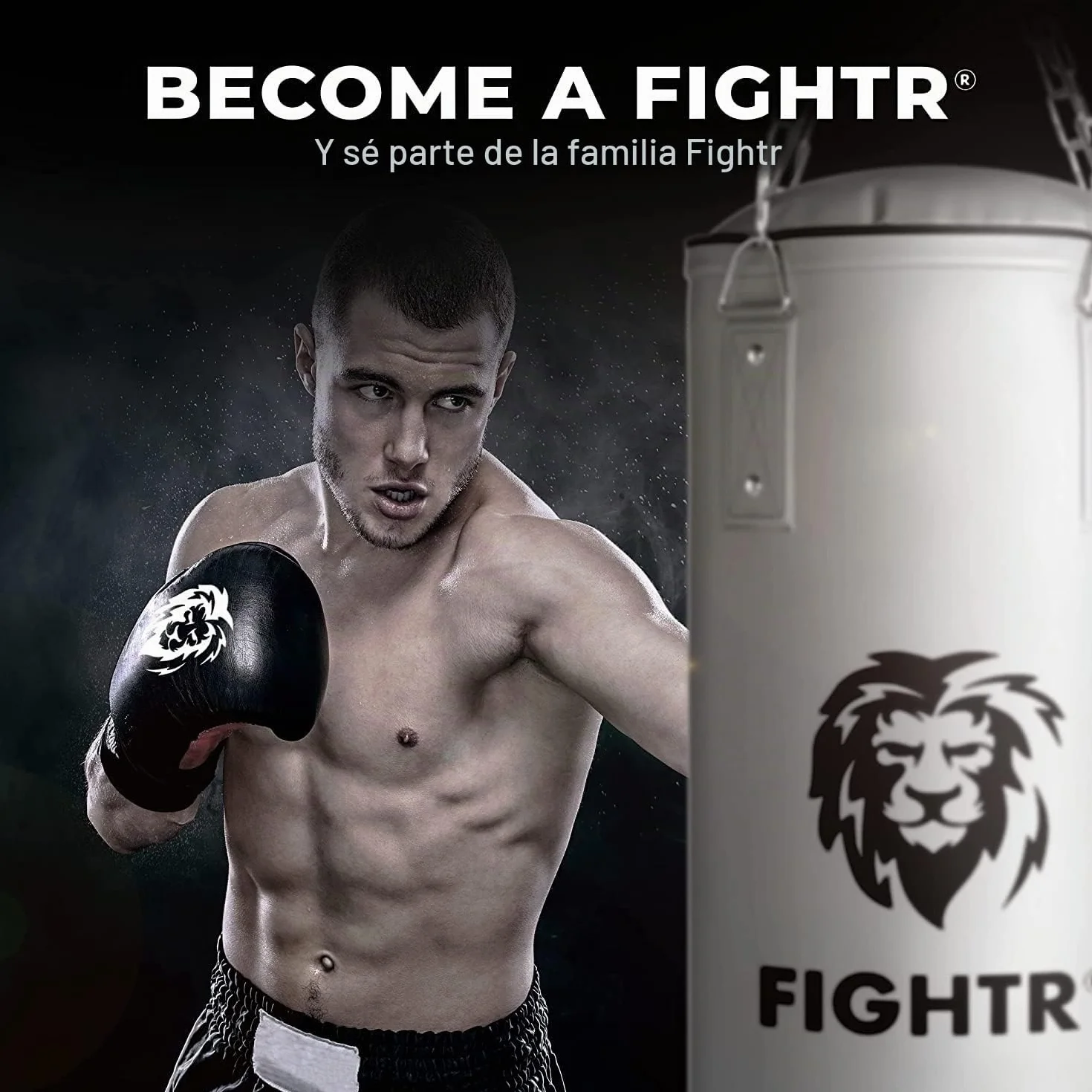 FIGHTR® Saco de boxeo relleno con cadena de acero de 4 puntos para boxeo, kickboxing, MMA, Muay Thai