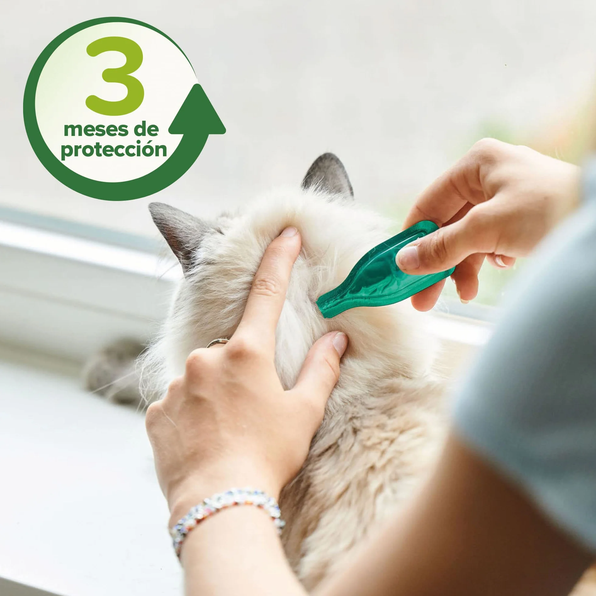 Beaphar Pipetas repelentes Naturales para Gatos - 3 Meses de protección Natural contra garrapatas, pulgas y Mosquitos - para Todo Tipo de Gatos - 3 pipetas de 1ml, El embalaje puede variar