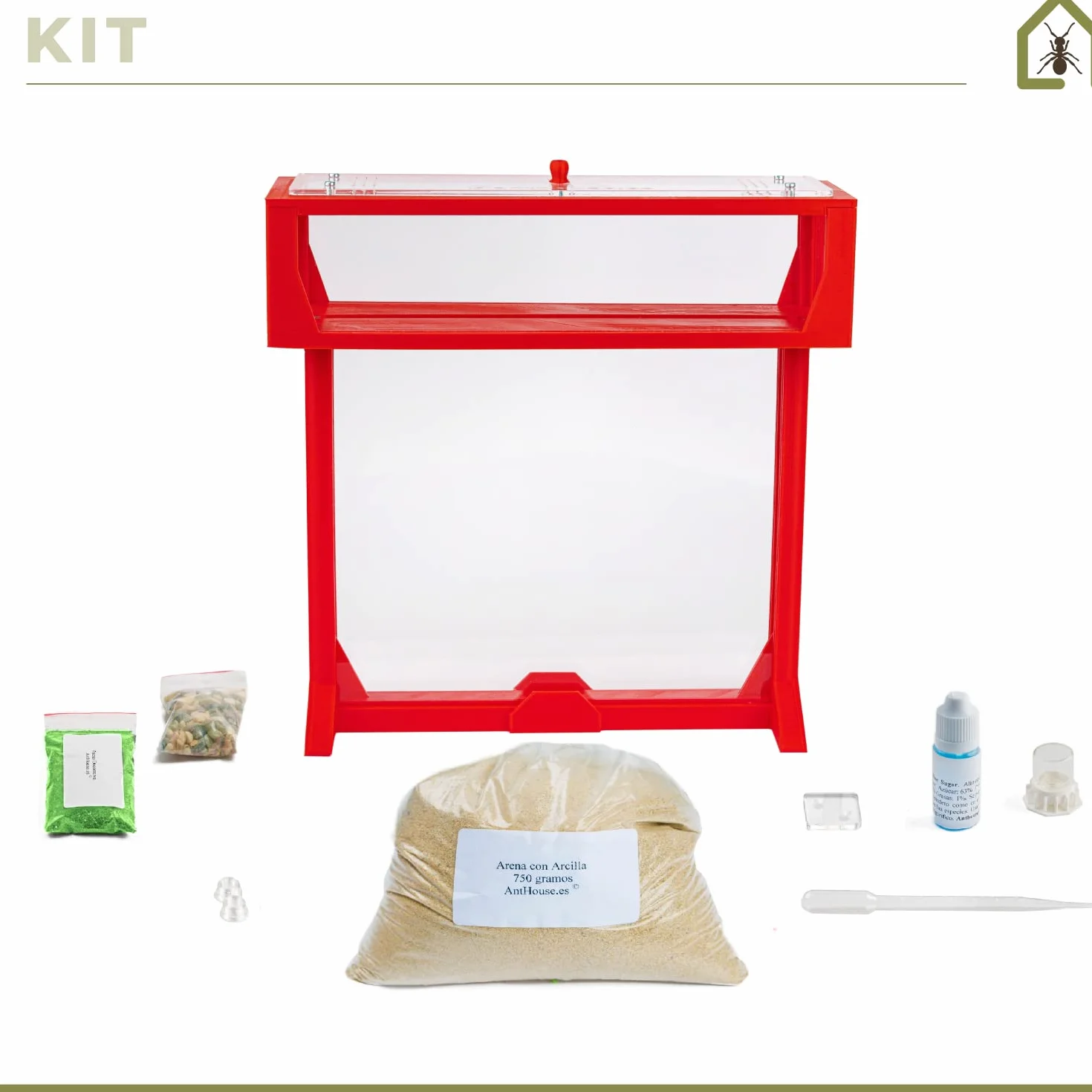 Anthouse.es - Kit Hormiguero Acrílico en Forma de T - Sándwich y Caja de Forrajeo con Tapa Retirable - Hormiguero con Hormigas Vivas Incluidas - Hormiguero de 25x20x1,5 cm - Transparente