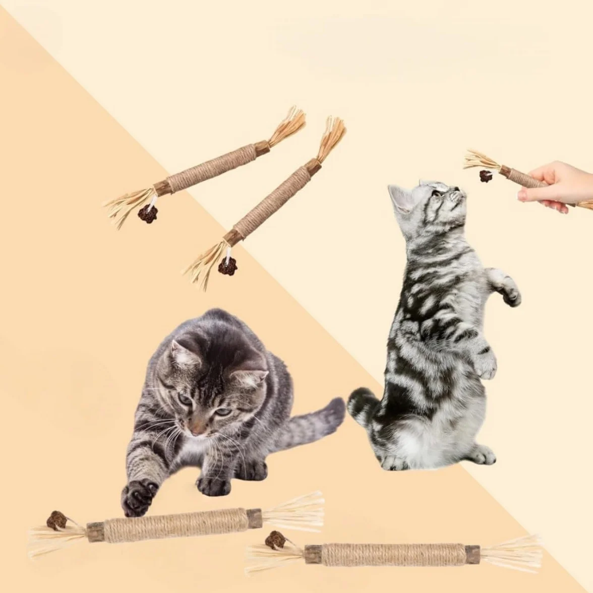 Juguetes para Masticar para Gatos,6 Piezas Palitos Masticables Naturales,para Limpieza Dental e Higiene Bucal,Juguetes Interactivos para Gatitos y Gatos Adultos