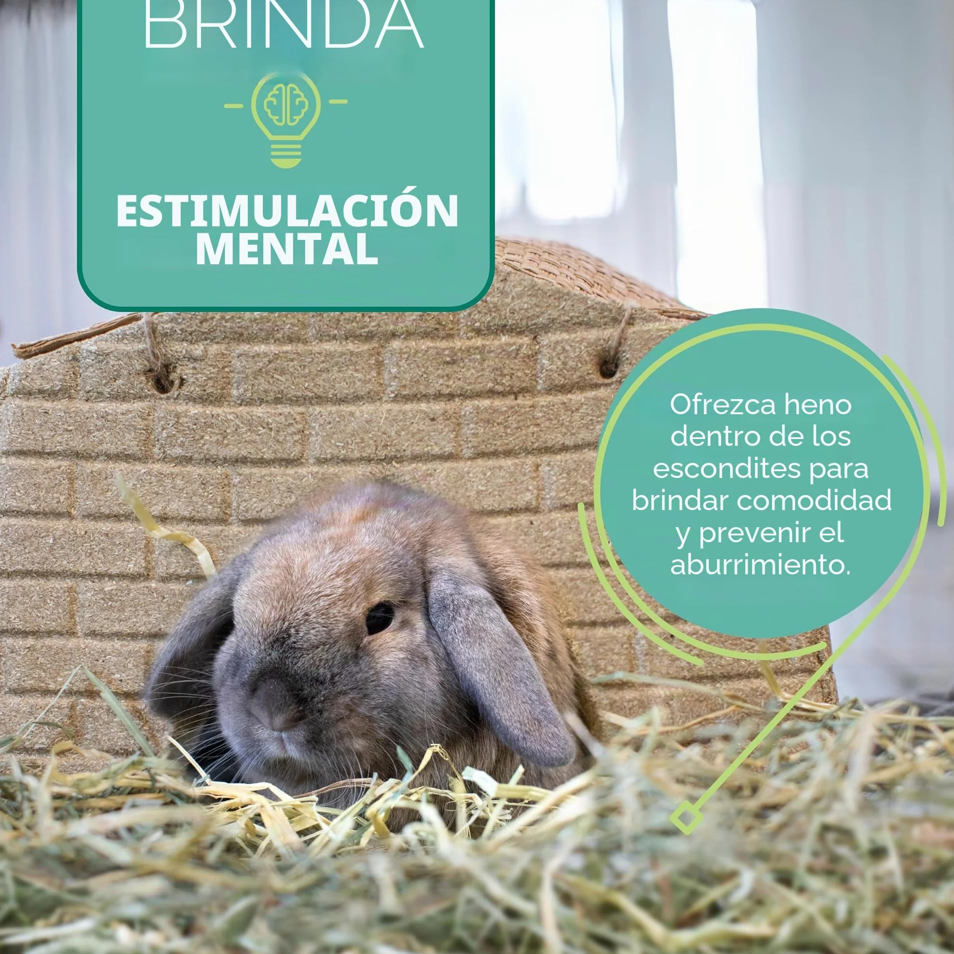 Orchard Grass Heno para Mascotas pequeñas Oxbow, 1,13 kg