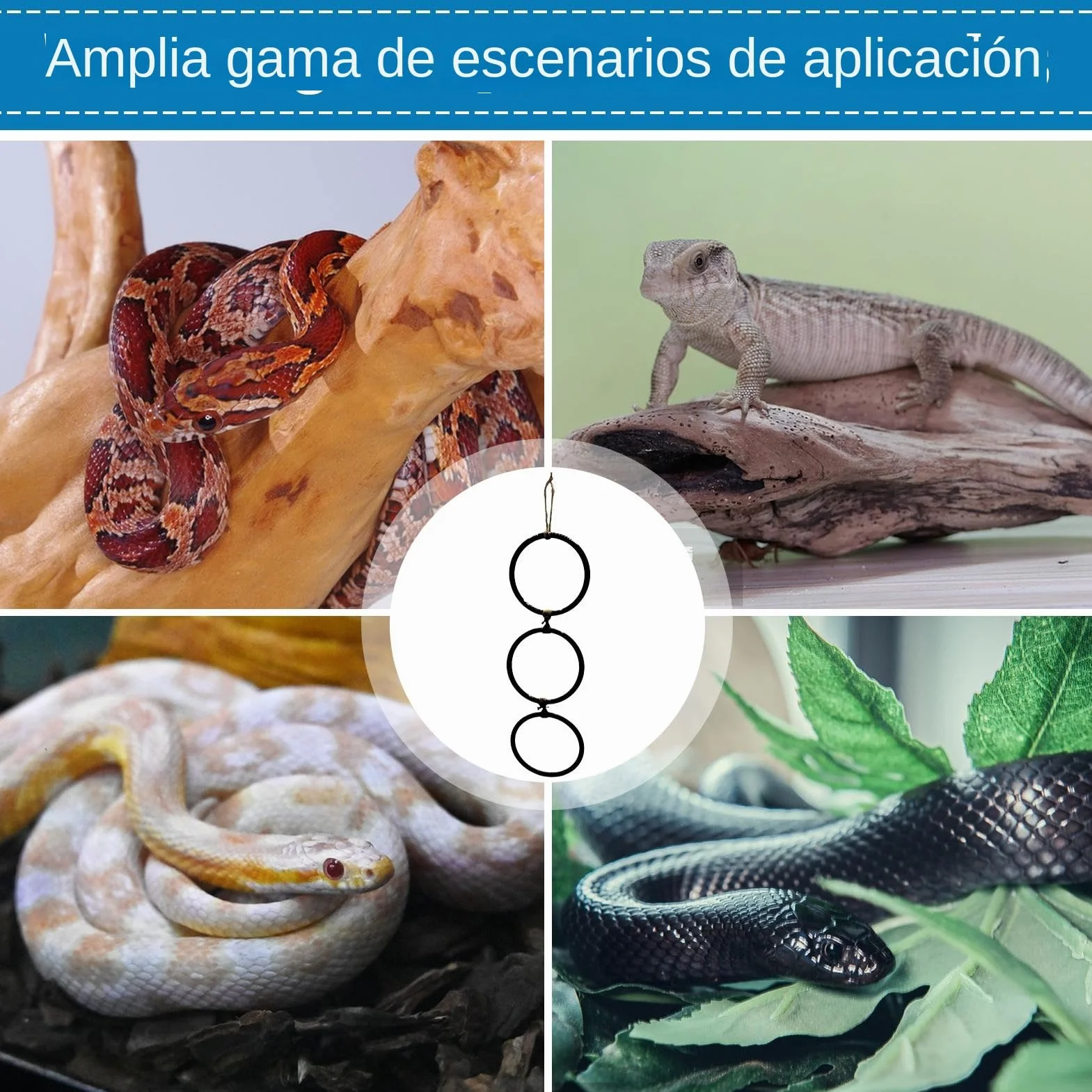 Juguetes De Enriquecimiento para Serpientes - Accesorios para Hábitat De Reptiles,con Aro Y Cadena Juego Interactivo para Anfibios Y Hábitat Interior para Mascotas