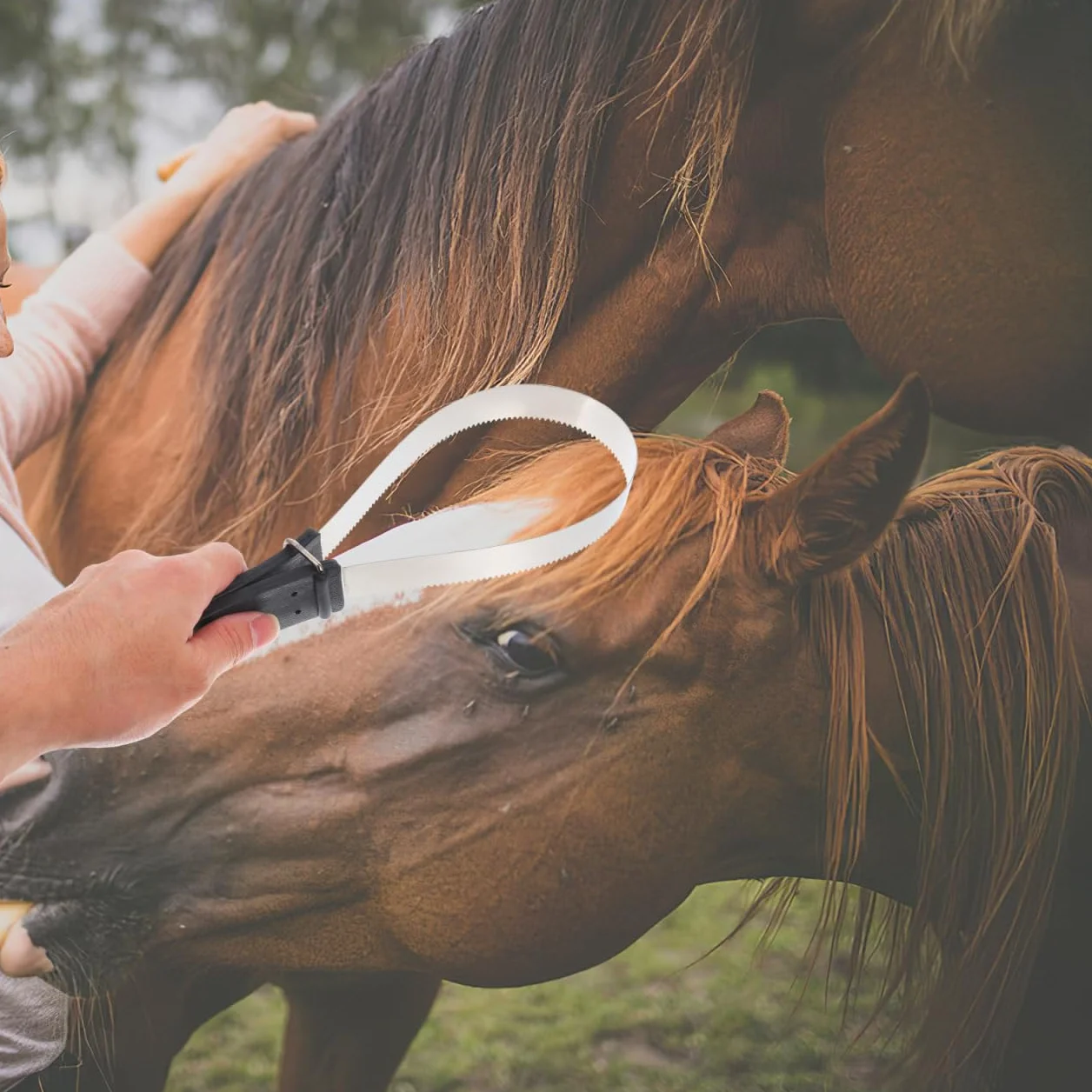 SUPVOX Cepillo De Pelo De Caballo De Acero Inoxidable Con Mango De Plástico Herramienta De Aseo Raspador Para Caballos Y Ideal Para Eliminar Pelo Suelto 11.8X3.7X0.6 Pulgadas