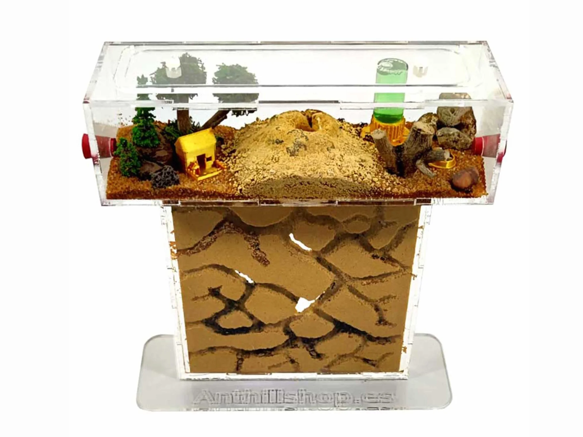 Hormiguero T- Pequeño de Arena Natural (acrílico) - con Hormigas Incluidas┃de 20-30 Hormigas.