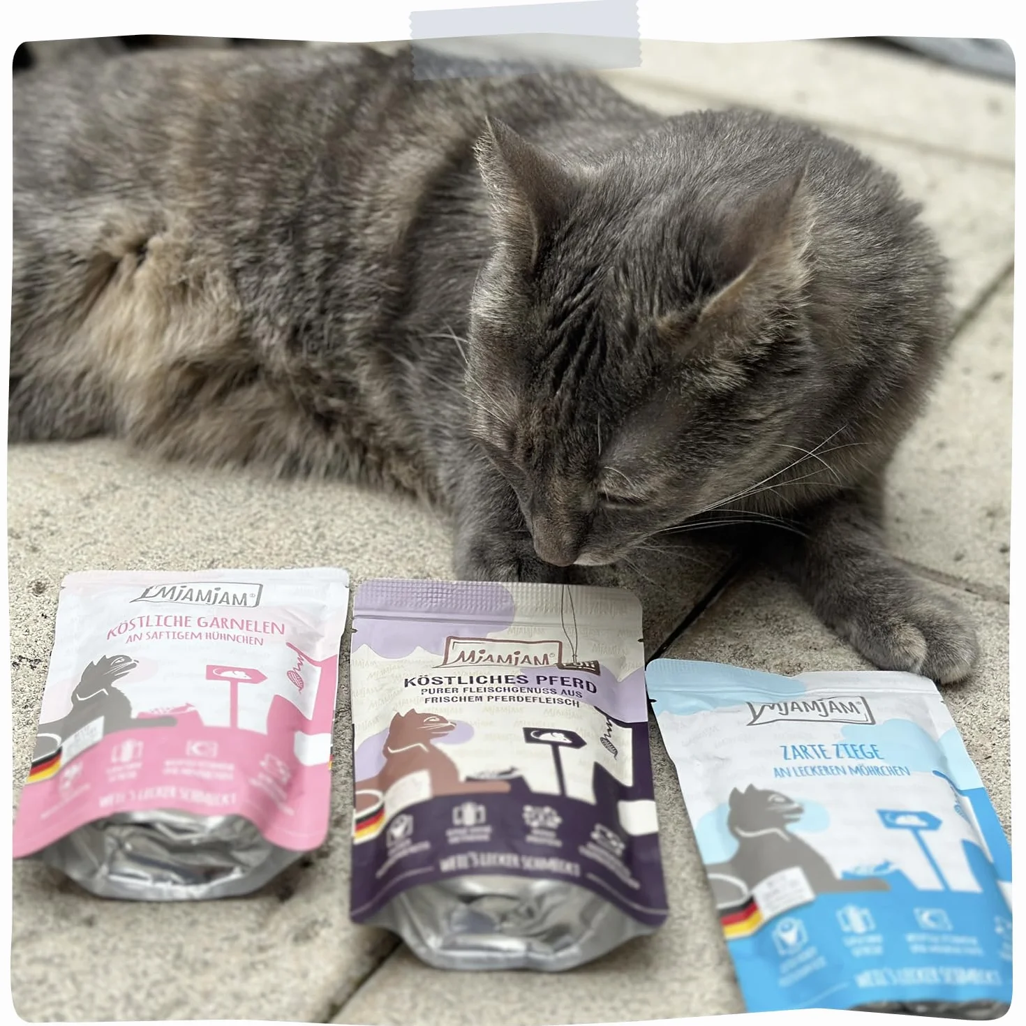 MjAMjAM - comida húmeda premium para gatos - paquete mixto III (6 x 400 g) - caza y conejo, pavo, pato y aves, corazones, pollo, ternera, sin cereales con carne extra