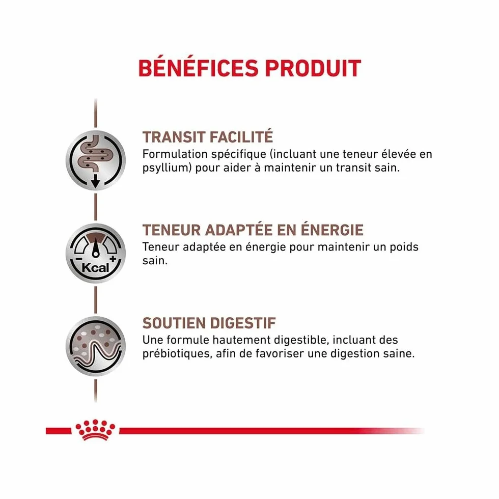 Royal Canin Gastro Intestinal Fibre Response | 12 x 85 g | Alimento dietético Completo para Gatos Adultos | para Gatos con estreñimiento crónico o Problemas gastrointestinales similares
