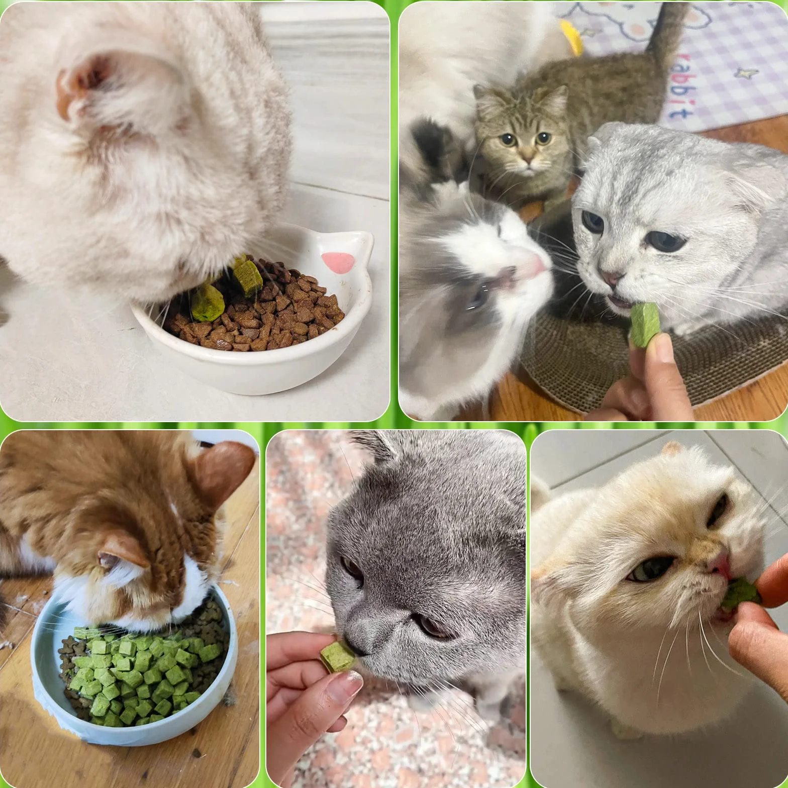 Snacks para Gatos, 60g Snack Liofilizado con Hierba Gatera para Limpiar los Dientes