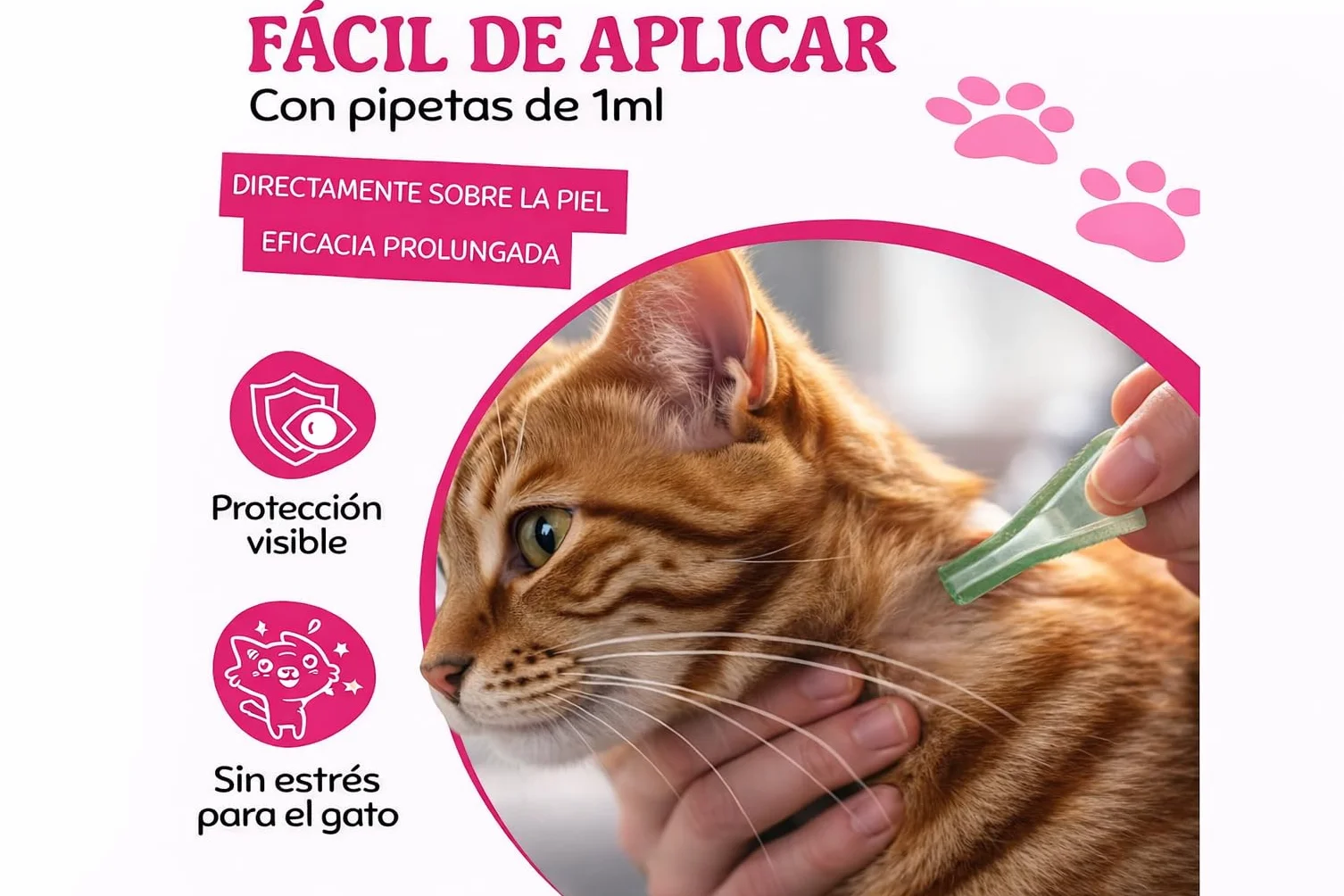 Spot On Antiparasitario Natural para Gatos y Gatitos de Larga Duración, 5 Pipetas de 1 ml, Protege contra Pulgas, Garrapatas, Flebotomos y Mosquitos