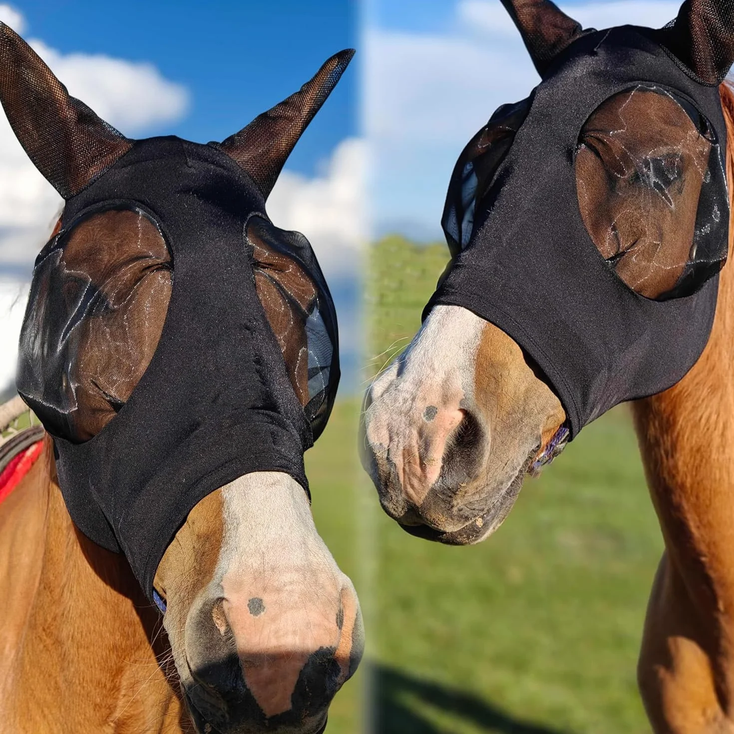 Máscara Anti-Moscas Protección con Orejas, Elasticidad Máscara de Mosca, Máscara Anti Moscas para Caballo, Excelente Comodidad con Protección UV, Máscara Estándar para Caballos