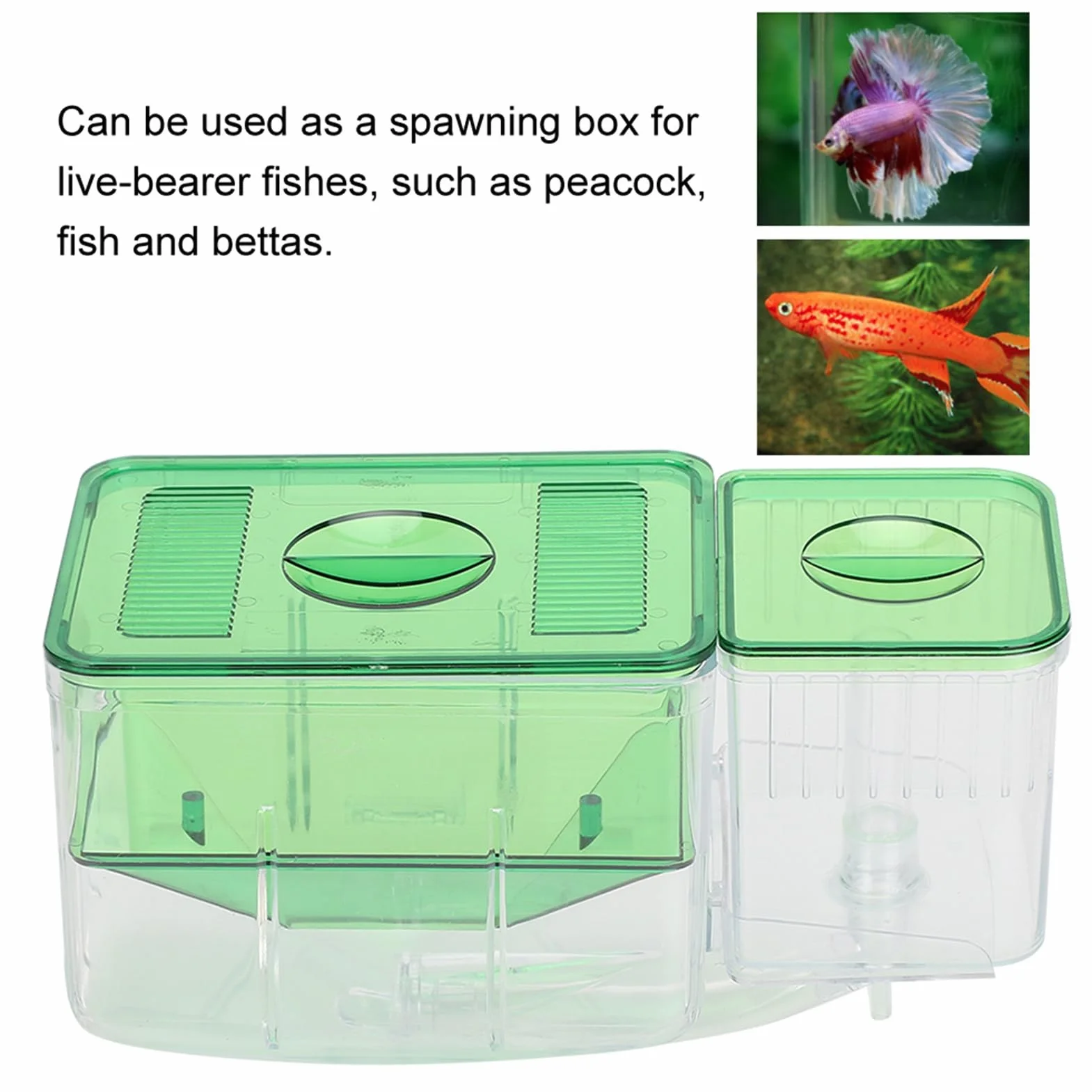 ZJchao Incubadora de Acuario, Caja de Cría para Peces Pequeños con Aislamiento de Doble Capa, Evita Ataques de Peces Adultos para Peces Heridos, Camarones, Peces Payaso, Criadores de