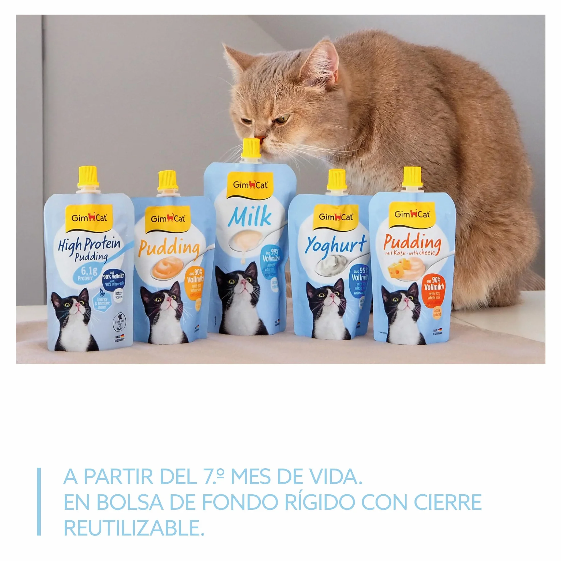 GimCat Milk - Leche para gatos de auténtica leche entera con contenido reducido de lactosa y con calcio para unos huesos sanos - 1 bolsa (1 x 200 g)
