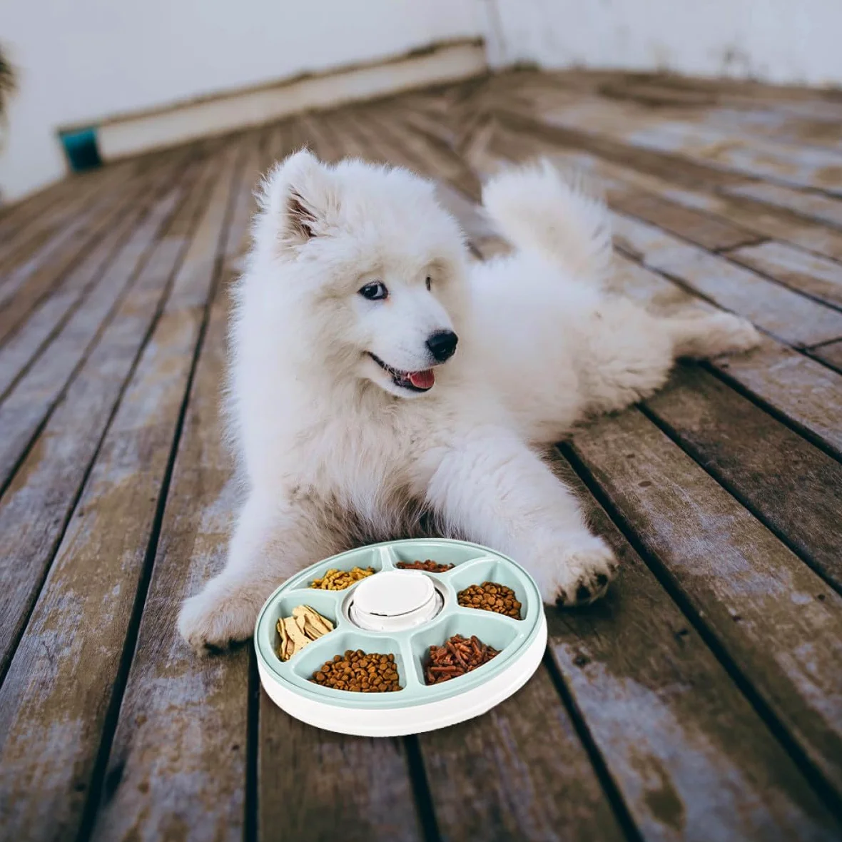 Abaodam Comedero Automático Temporizado para Mascotas 6 Porciones Tazón Comida Verde y Base Antideslizante para Perros y Gatos Uso Diario Programable