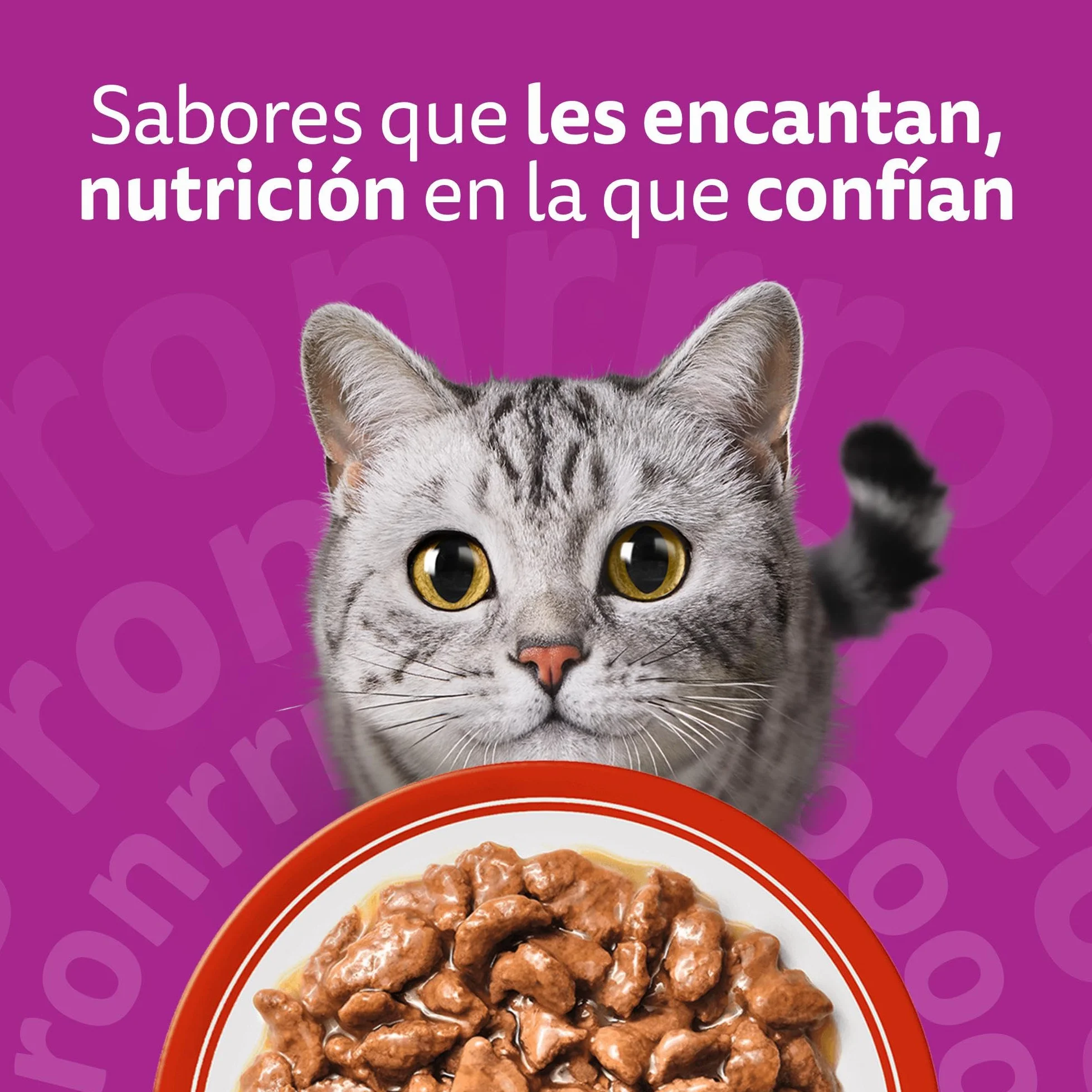 WHISKAS Duo Comida húmeda en Salsa Gatos Adultos Comb. Clásicas - 4 x 12 bolsitas x 85g