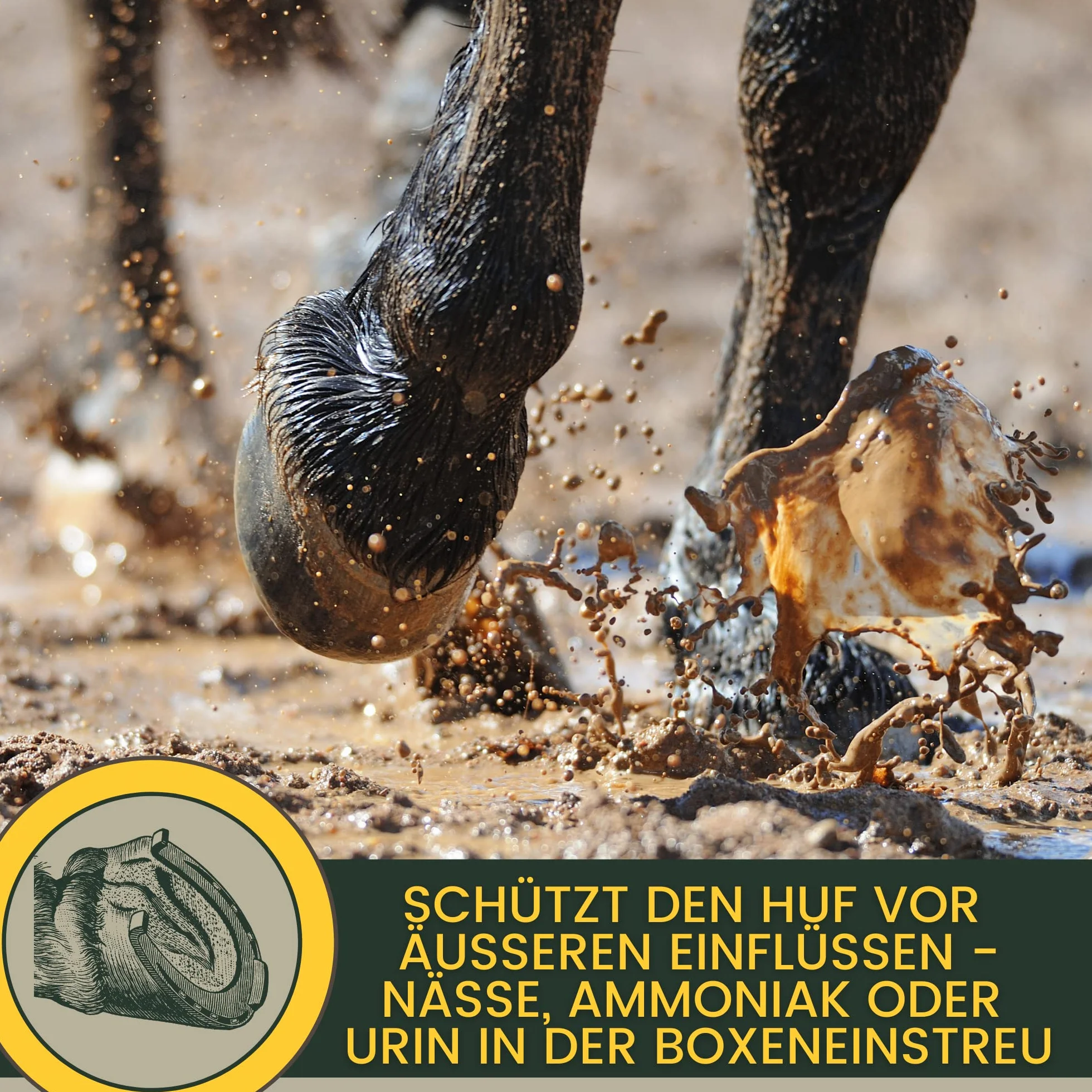 Cuidado de la rana para los caballos I Protección de la rana I Cuidado de los cascos I Casco, suela de la rana I Gel I Prevención de la podredumbre I Medios para proteger el cuerno de la rana 100ml