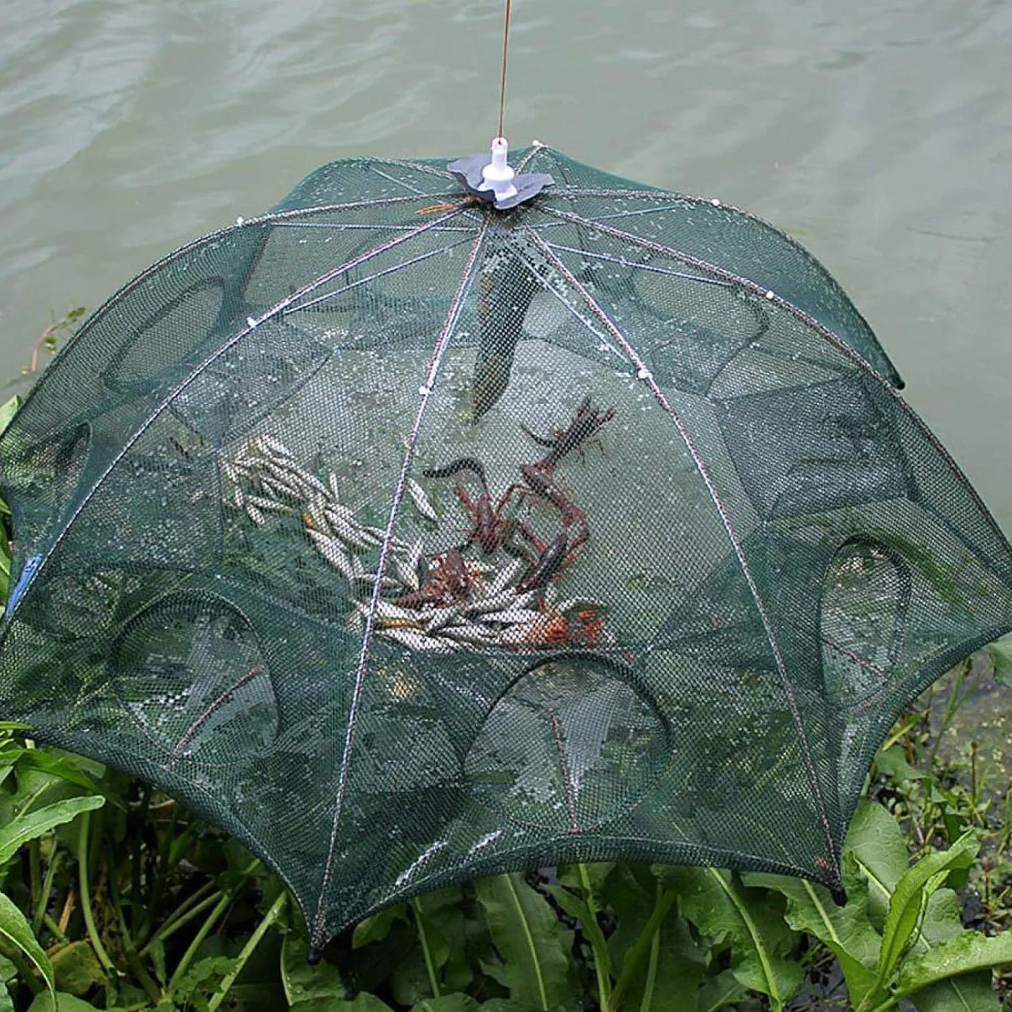 Red de Pesca Plegable Cremallera 6 Agujeros Automática Nailon Trampa Peces Cangrejo