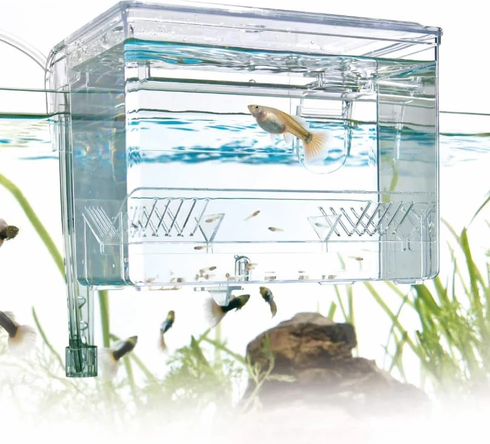 Amtra Esterba Hang On Acuario Sala de Partos, Bandeja de Aislamiento Externa, para Gestación, Eclosión de Huevos, 1.5 L, 16 x 13 x 16 cm