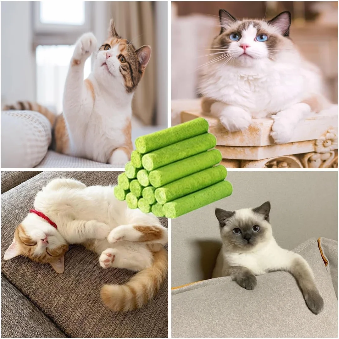 10 Pcs Snacks para Gatos 50g Snack Liofilizado con Hierba Gatera para Limpiar los Dientes