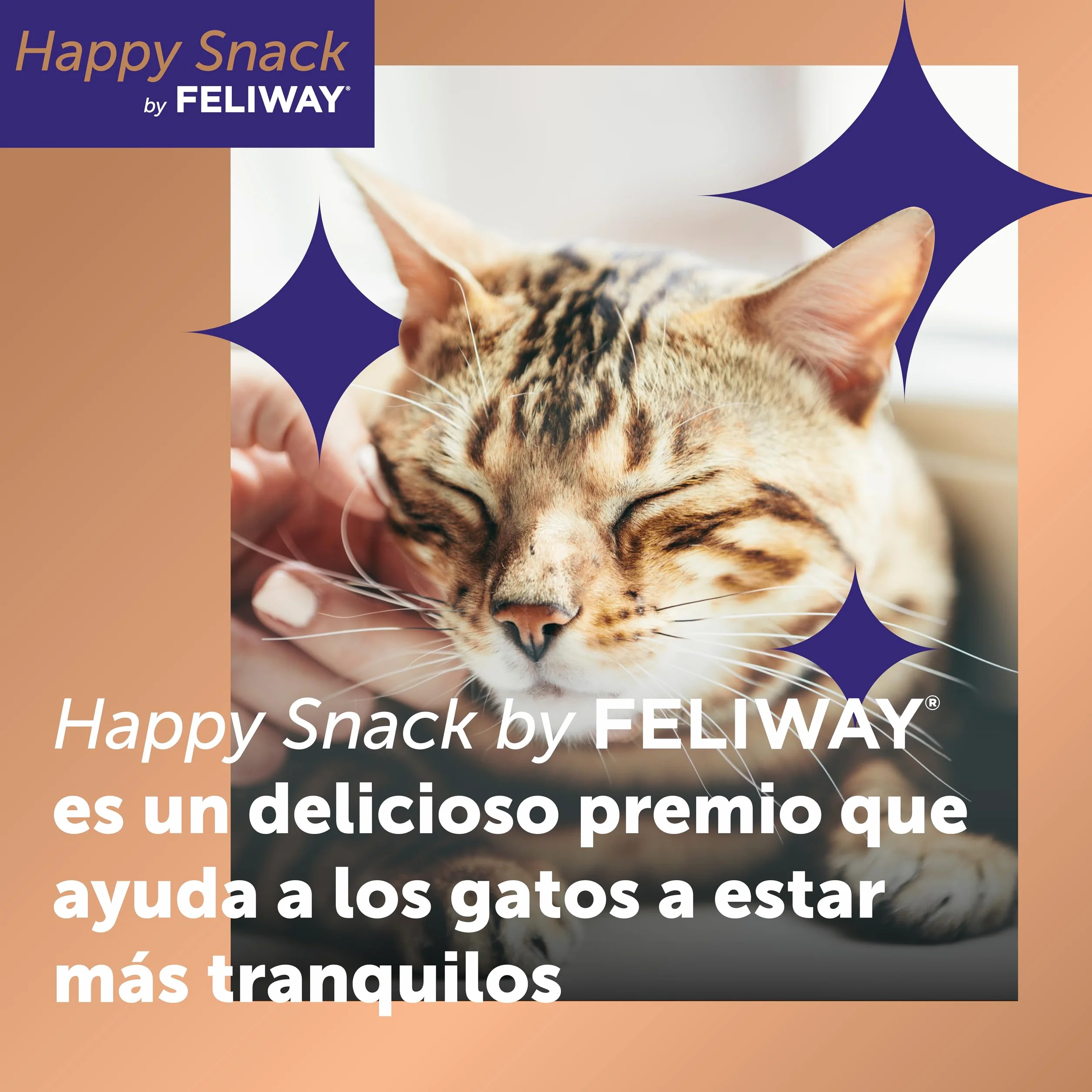 FELIWAY Happy Snack - Deliciosos y cremosos premios calmantes para gatos (6 sobres). Ayuda a los gatos a sentirse más tranquilos y a mejorar vuestro vínculo.