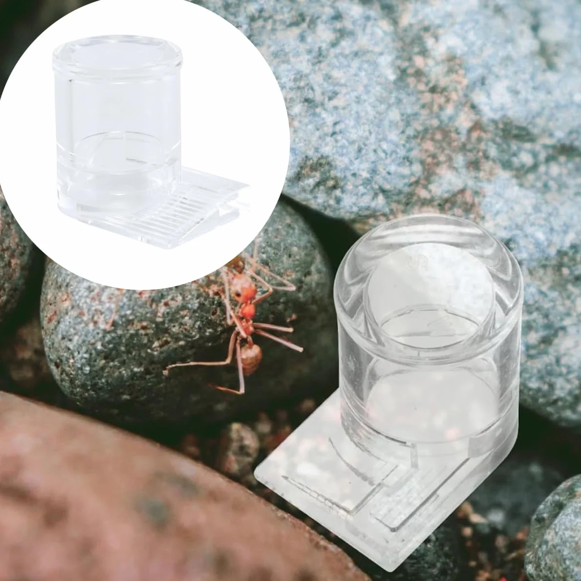 Comedero De Agua Para Hormigas, Contenedor De Agua Acrílico Transparente Para Nido De Hormigas, Hábitat Para Mascotas.