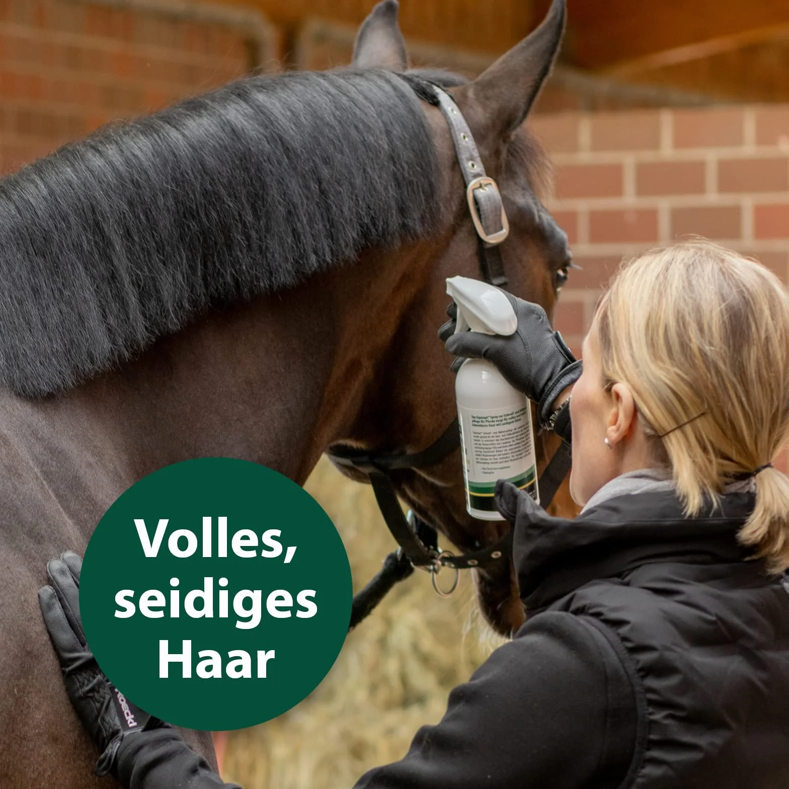 Equisept Cuidado de la Cola y la Melena, 500 ml, con Aceite de manzanilla Natural, Spray de Cola y Spray para Melena para Caballos, Brillo de Pelo Sedoso, fácil de peinar, sin dopaje