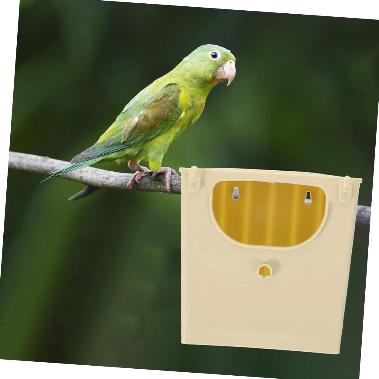 COLLBATH 2 Juegos de Cajas de Cría para Pájaros Elegantes Y para Periquitos de Plástico Resistente a La Intemperie con Salida para Nido 5 Unidades