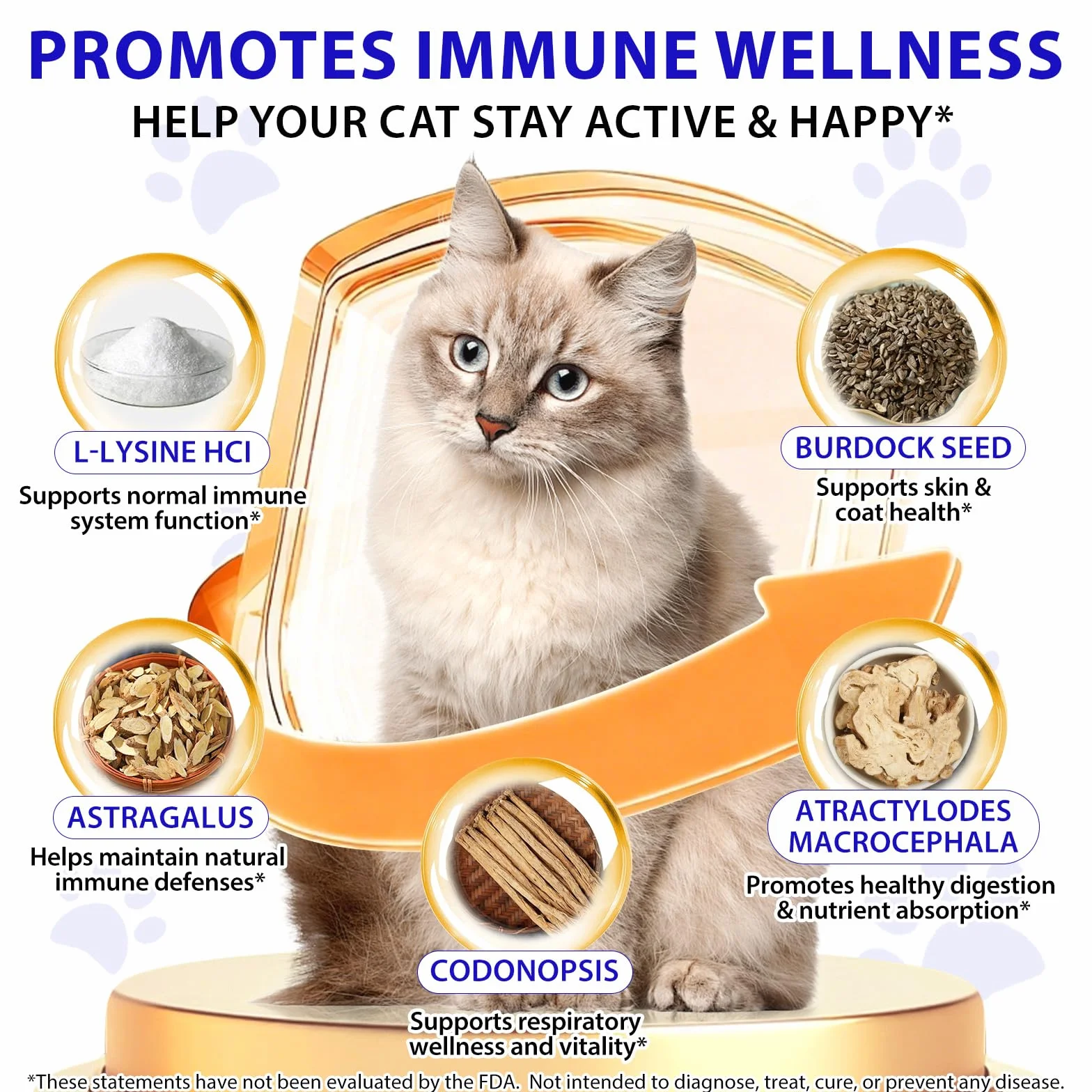 L-Lisina para Gatos, 60ML Lisina Gatos Aliviar Alergias en Gatitos, Estornudos, Gripe Felina, Antibióticos para Gatitos con Vitaminas y Minerales