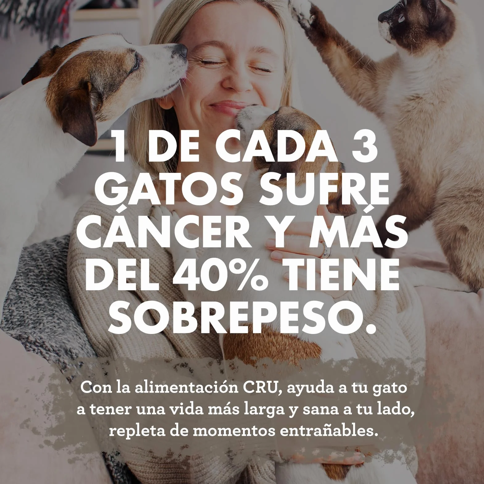 CRU - Comida para Gatos Cruda y Natural de Pavo - Dieta Barf para Gatos Junior y Adultos - Comida Congelada para 1 Mes - 10 Paquetes de 500g. (10 Paquetes, Pavo)