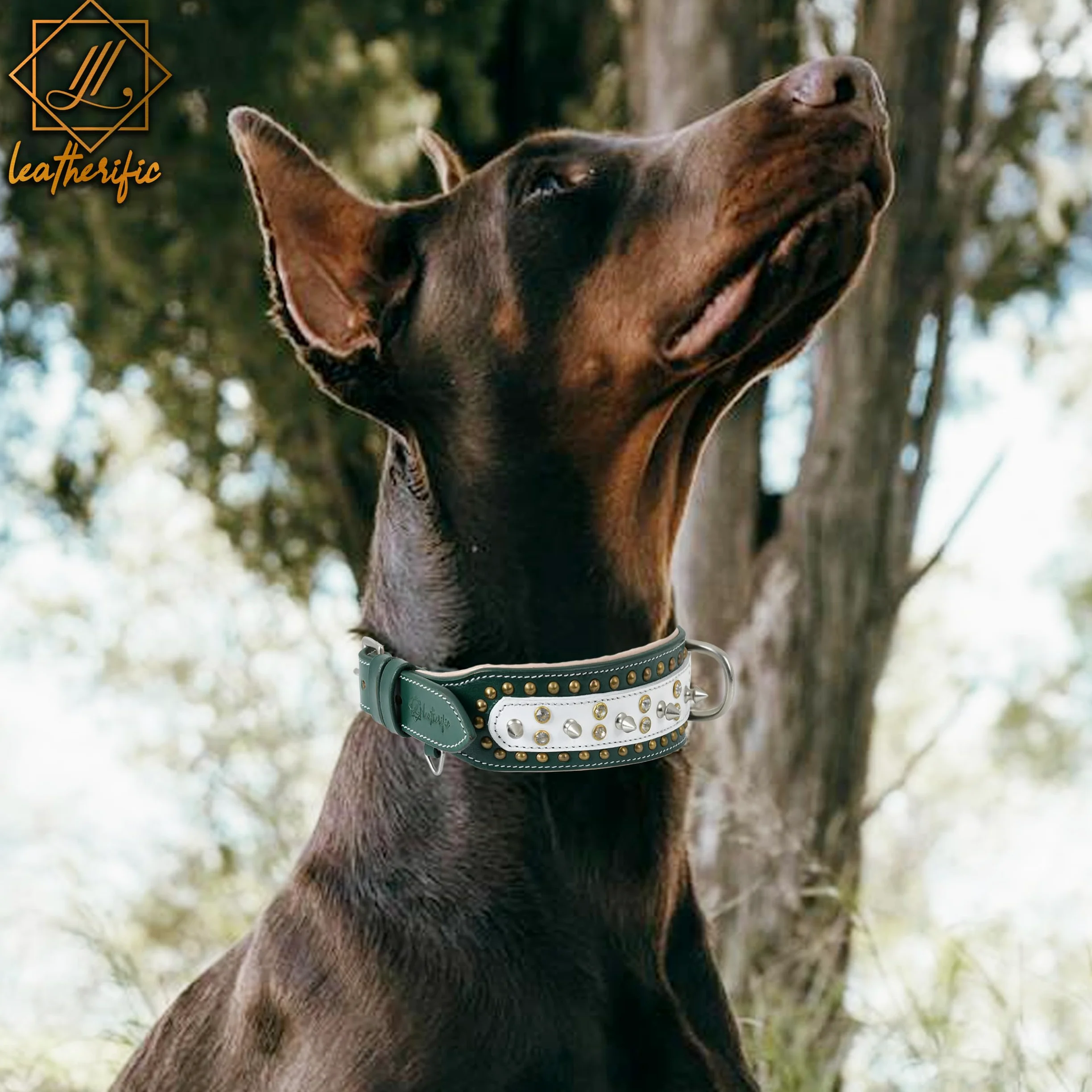 Leatherify - Collar de cuero genuino para perro, de alta calidad, resistente, acolchado, fuerte, con picos atornillados, razas medianas, grandes, extragrandes, 2 pulgadas de ancho (color verde bosque