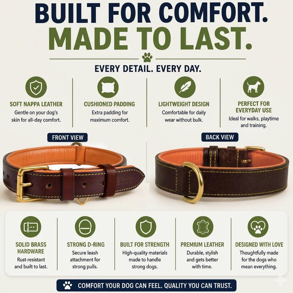 Collar de Cuero Genuino para Perro | Grano Completo, Resistente, cómodo, Fuerte, Ideal para Cachorros, Razas pequeñas, Medianas y Grandes | (XL (Talla de Cuello 22.5-25.5"), marrón)