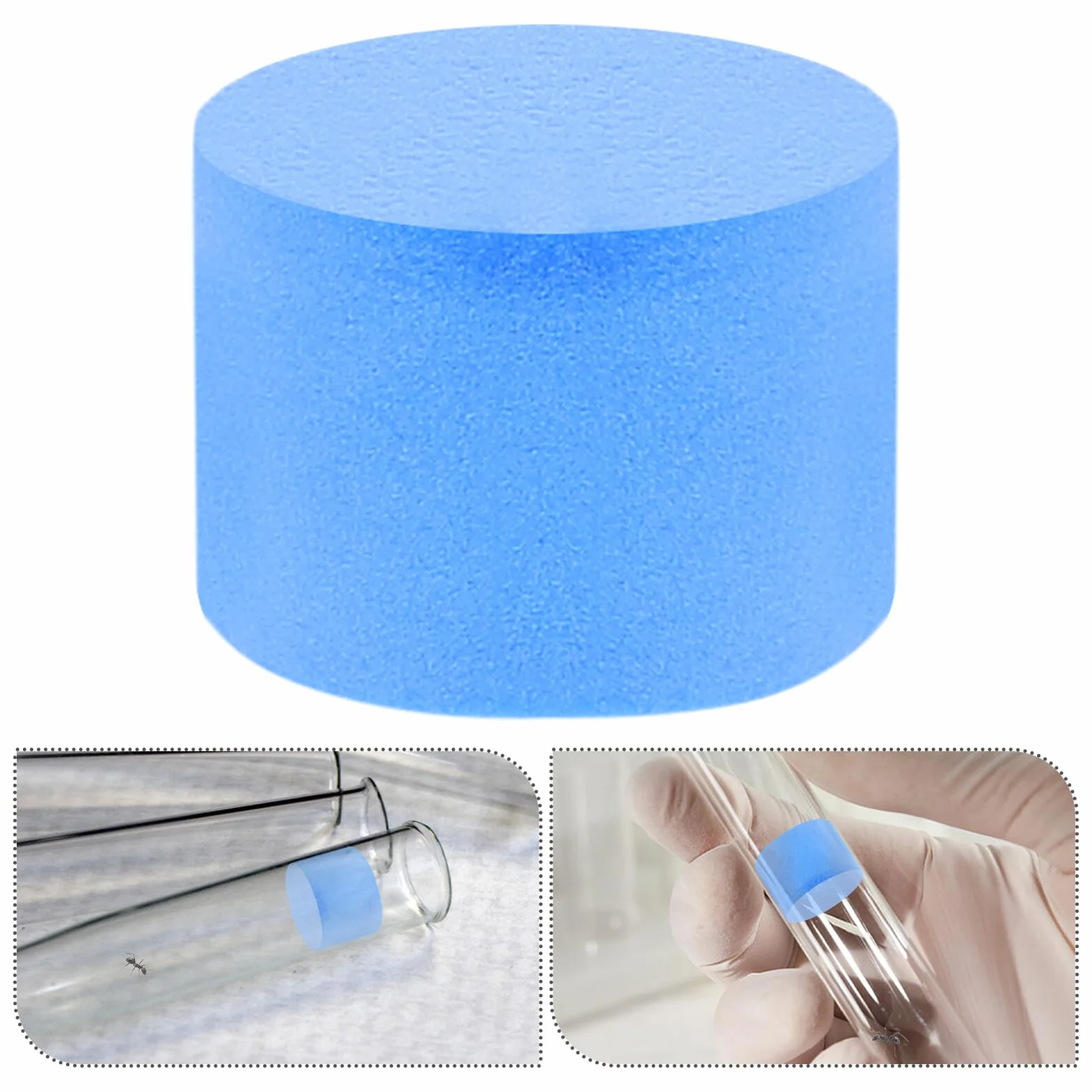 5 Esponjas de Espuma Azules para Tubos de Laboratorio, Suministros para Nidos de Insectos Ambiente Cómodo y Fácil de Usar en Aprendizaje Naturaleza