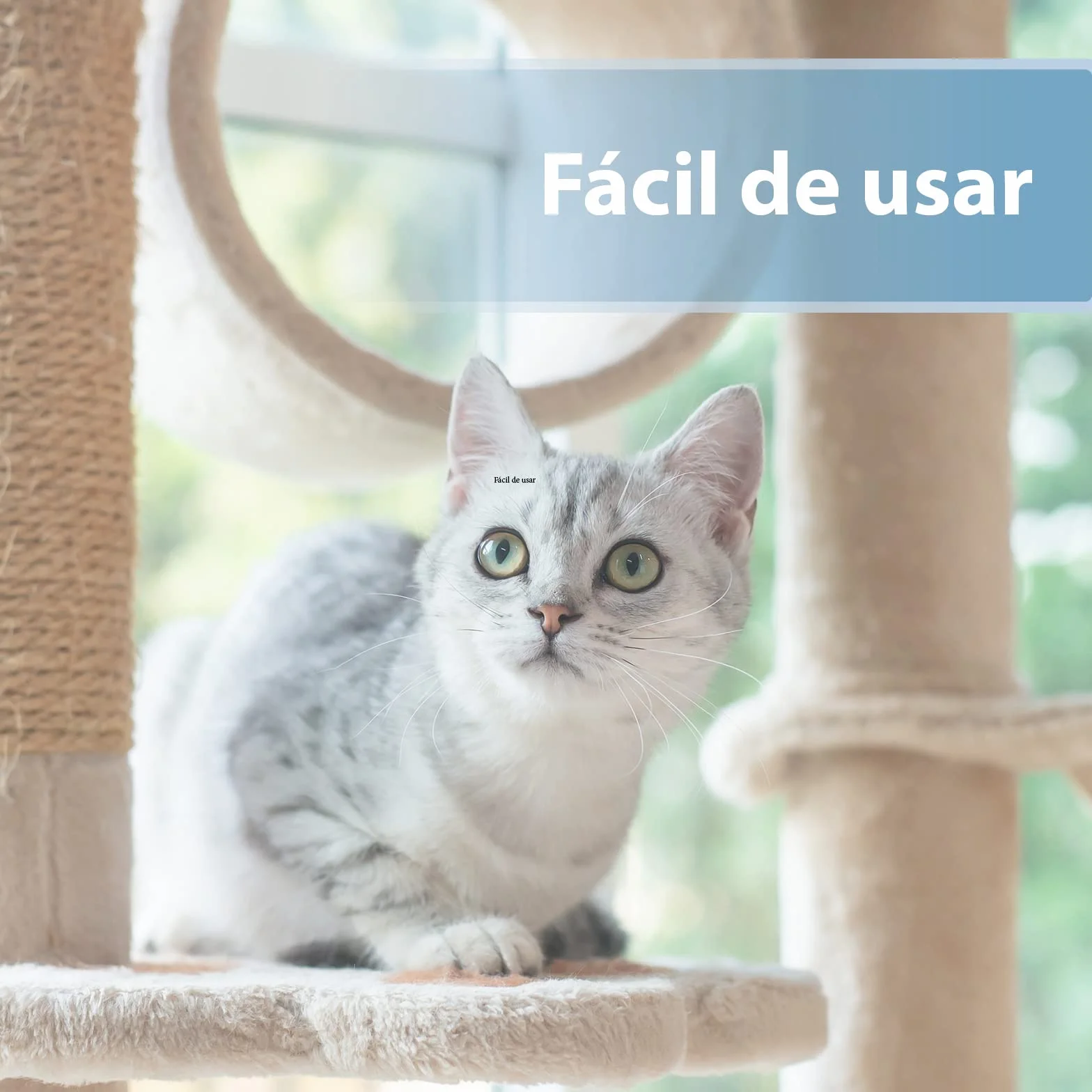 Felisept Almohadilla Para El Cuidado de los Oídos Para Gatos 50 piezas - Cuidado e higiene para orejas de gato - Alevines para una limpieza práctica e intuitiva - Limpiador de oídos para gatos