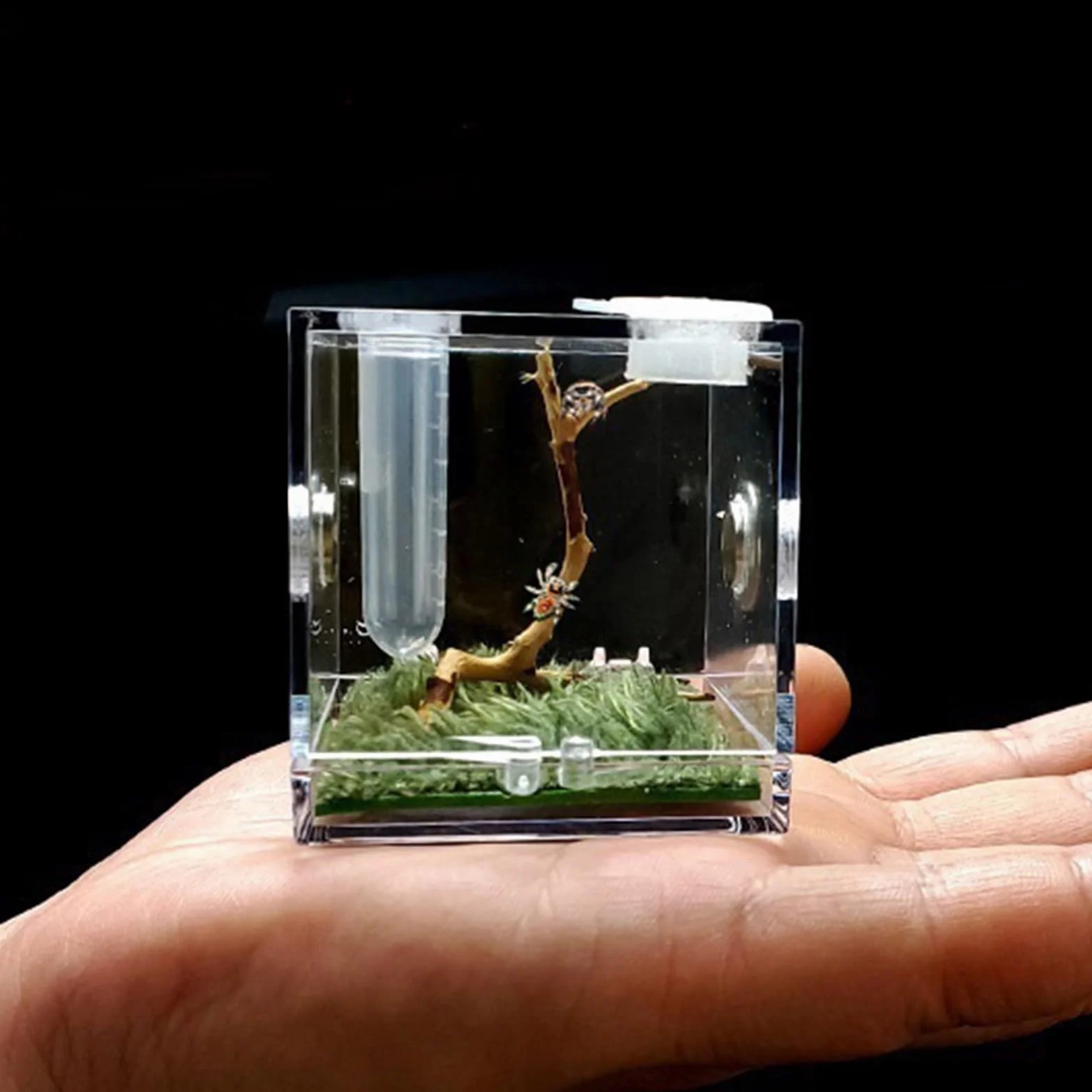 Caja de cría de 1 Piezas - Acrílico Transparente Reptil Habitat Case, para Spider Lizard Geckos Caracoles,Estuche de Terrario para Mini Mascota, Serpiente, Araña, Tarántulas, Molino