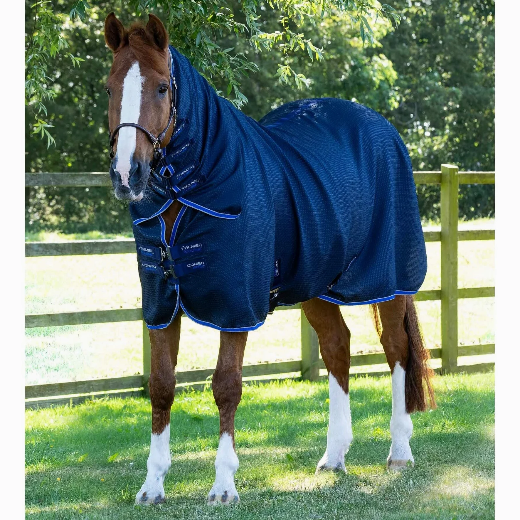 Premier Equine Manta de Secado para Caballos con cubrecuellos