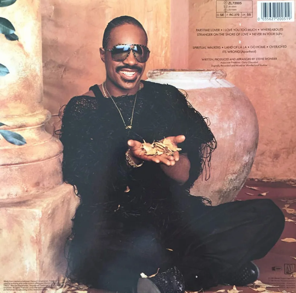 Stevie Wonder In Square Circle