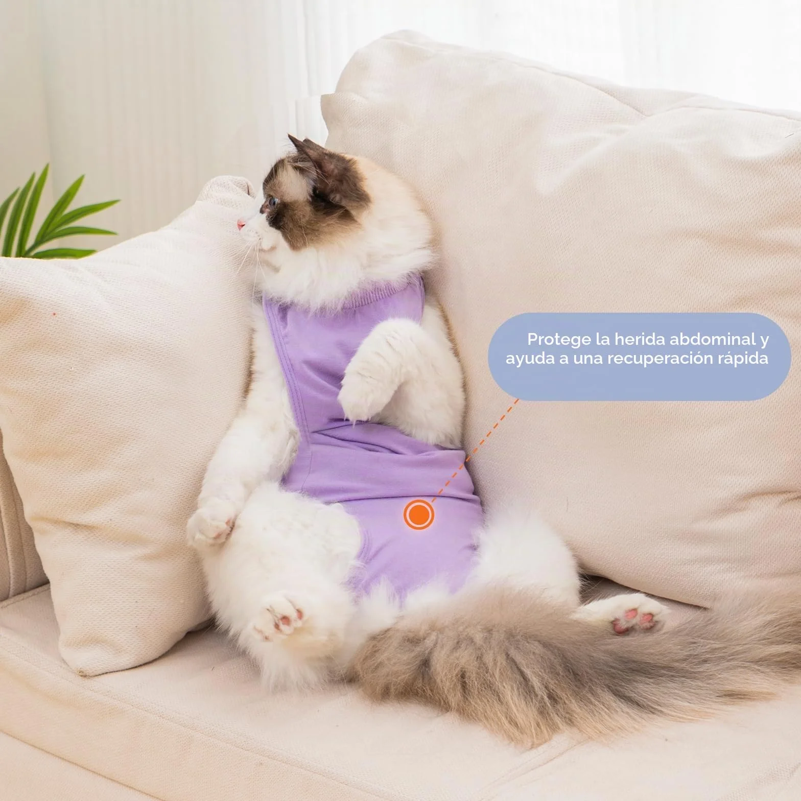 Avont Body De Recuperación para Gatos, Mono Suave para Después De Cirugía, Alternativa Transpirable para Gatas Esterilizadas, Cuidado De Heridas En La Piel, Color Púrpura, Talla S