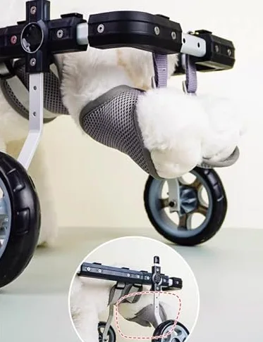 Silla de ruedas todo terreno para patas traseras, soporte ajustable con seguridad reflectante para mascotas pequeñas discapacitadas o lesionadas