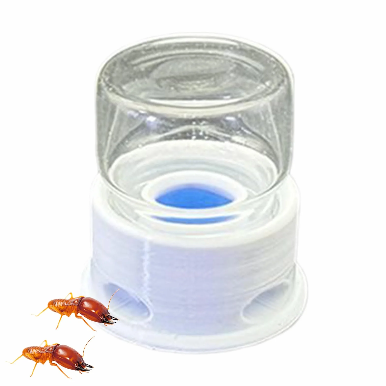 Dispensador de Agua para Hormigas | Bebedero para Grillos - Bebedero Antifugas Transparente para Granja, Hogar, Exteriores, Hormigas, Abejas