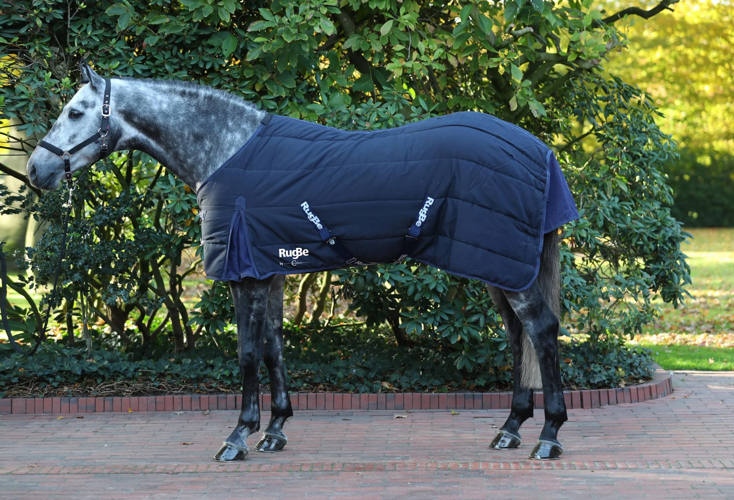 Covalliero Manta Caballo RugBe Indoor 125 cm, Azul