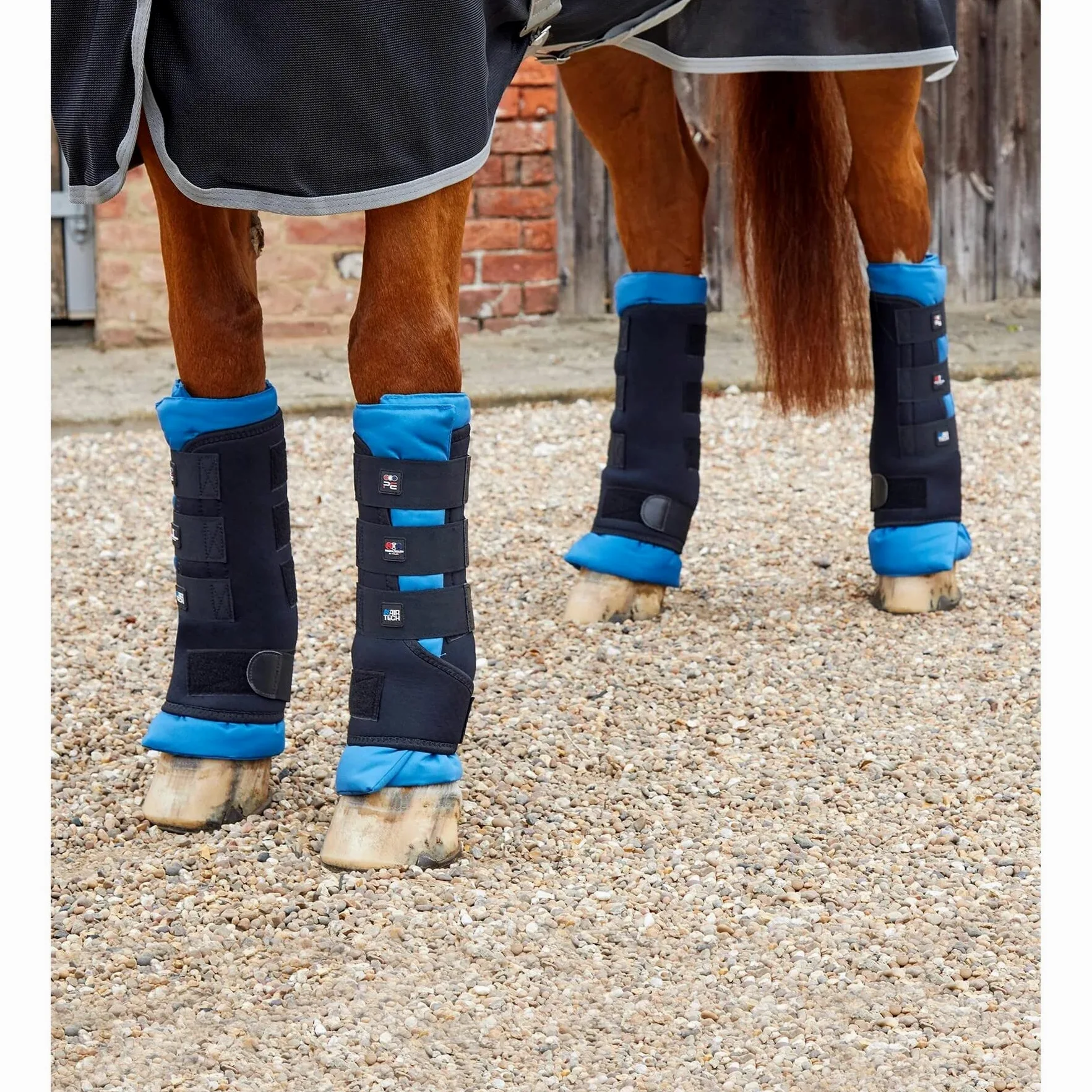 Premier Equine Polainas magnéticas para caballos Magni-Teque