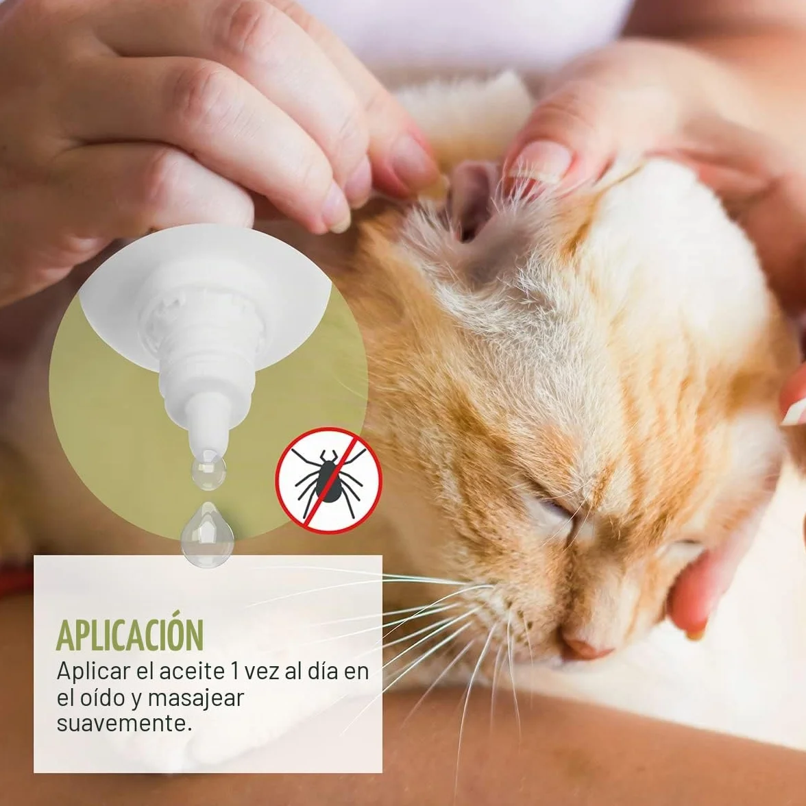 ReaVET Aceite de ácaros del oído Plus 25 ml para gatos de inmediato – contra los ácaros del oído con manzanilla para gatos, cuidado suave en caso de picazón en el oído, gotas para los oídos, ácaros,